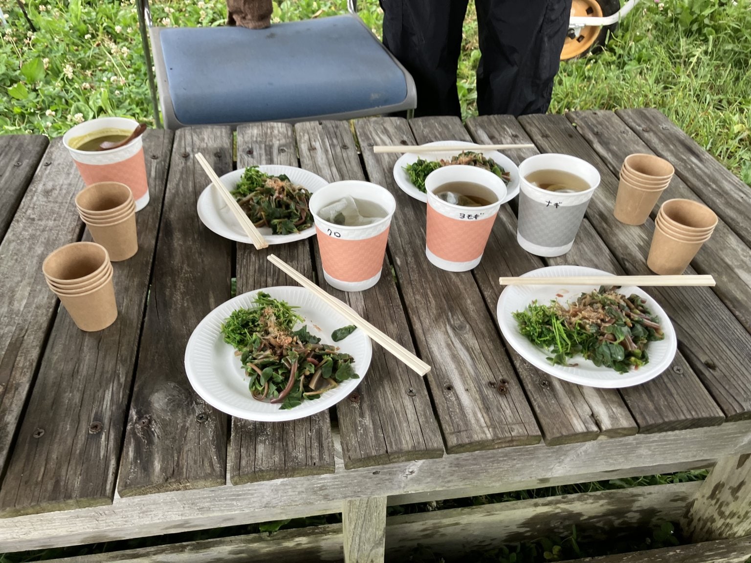 野草を食べよう‼︎