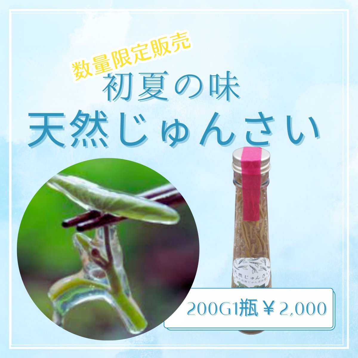 初夏味・数量限定 天然じゅんさい　200g入り　村山市観光物産協会認定商品