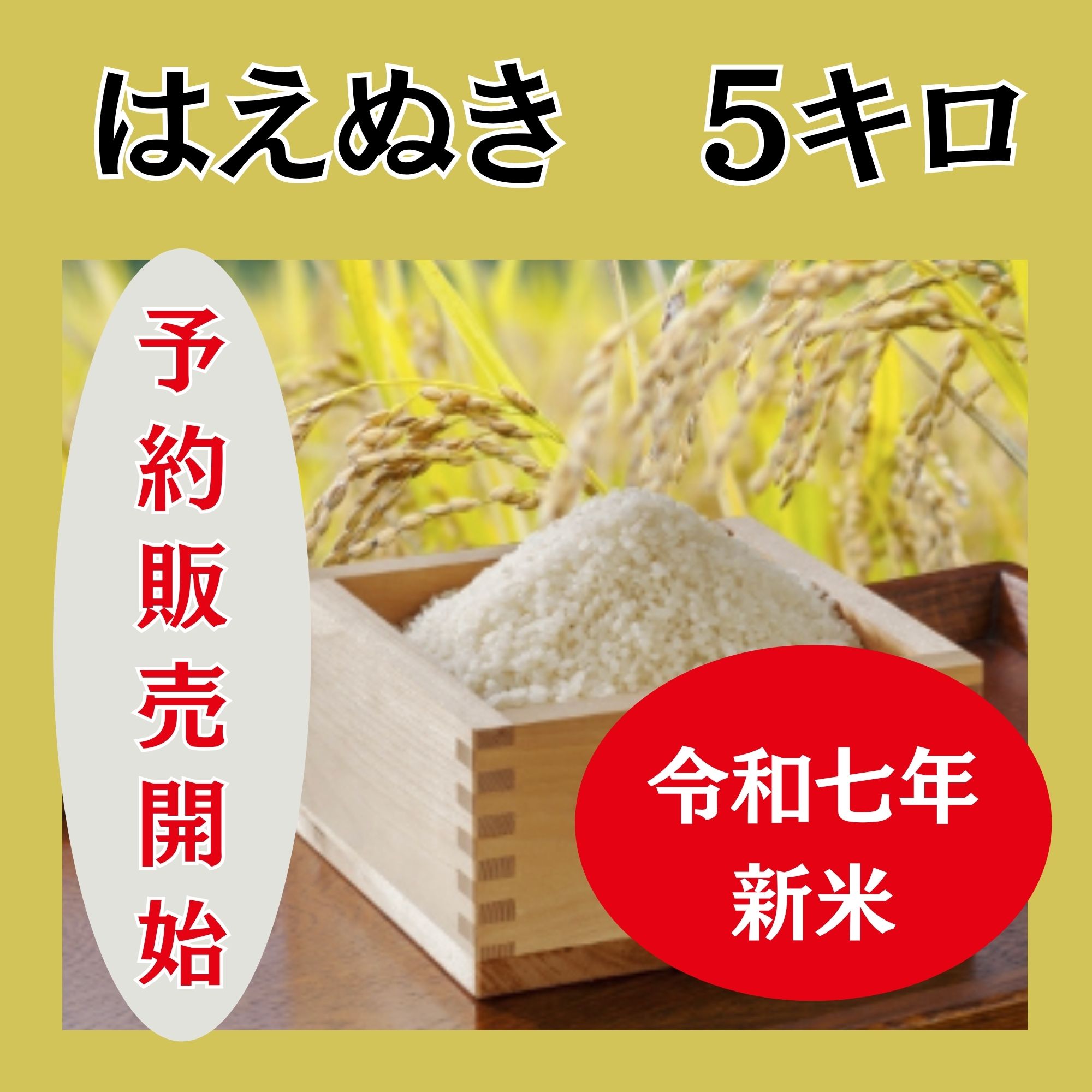 はえぬき 5キロ（玄米・白米）・令和7年産【新米・予約販売】