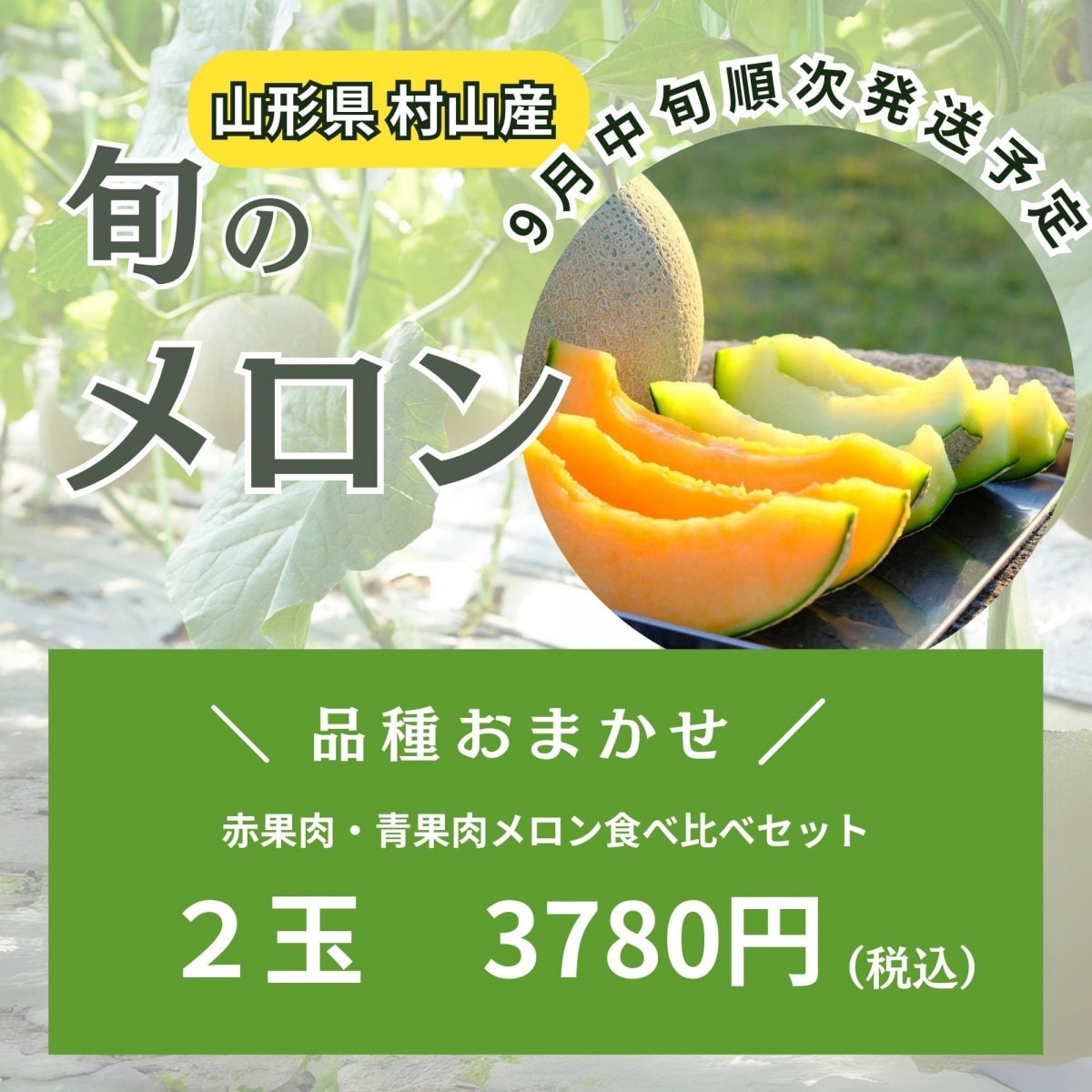 山形県村山産 旬のメロン 食べ比べセット