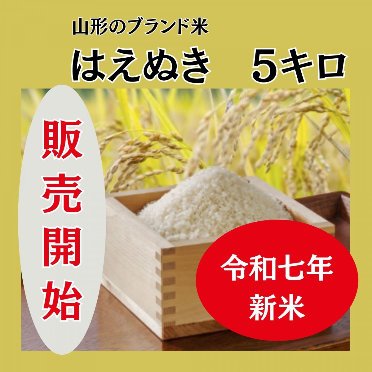 令和７年産【新米】はえぬき ５キロ（玄米・白米）