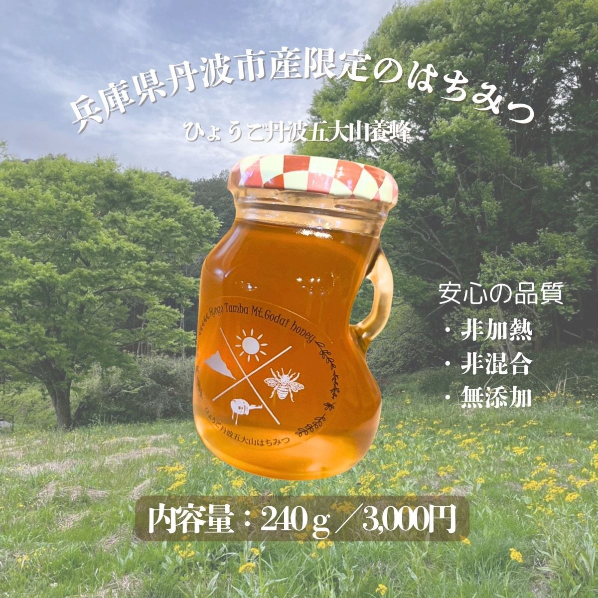 はちみつ240ｇ/ひょうご丹波五大山養蜂/非加熱、非混合、無添加の丹波市産限定ハチミツ【産直】