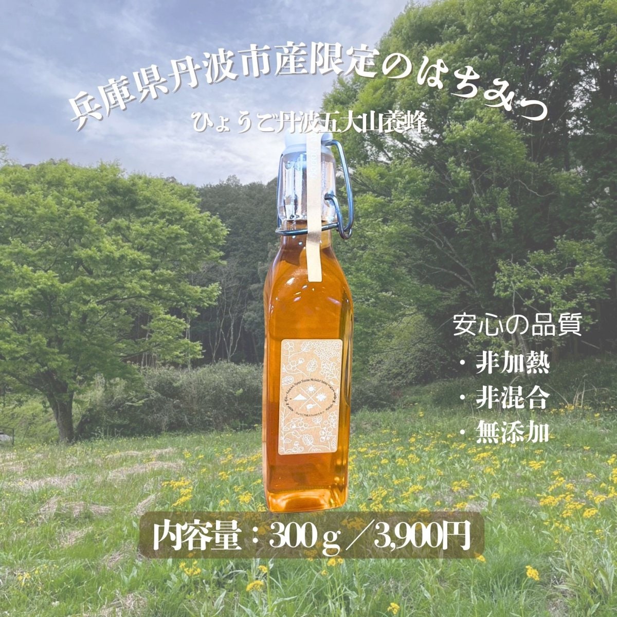 はちみつ300ｇ/ひょうご丹波五大山養蜂/非加熱、非混合、無添加の丹波市産限定ハチミツ【産直】