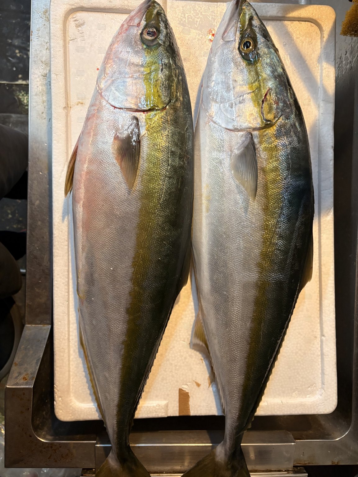 スタートキャンペーン！鹿児島産の魚（カンパチ・鯛・ブリなど）のカッティング・デモストレーション（解体ショー）　令和8年3月までに延期！
