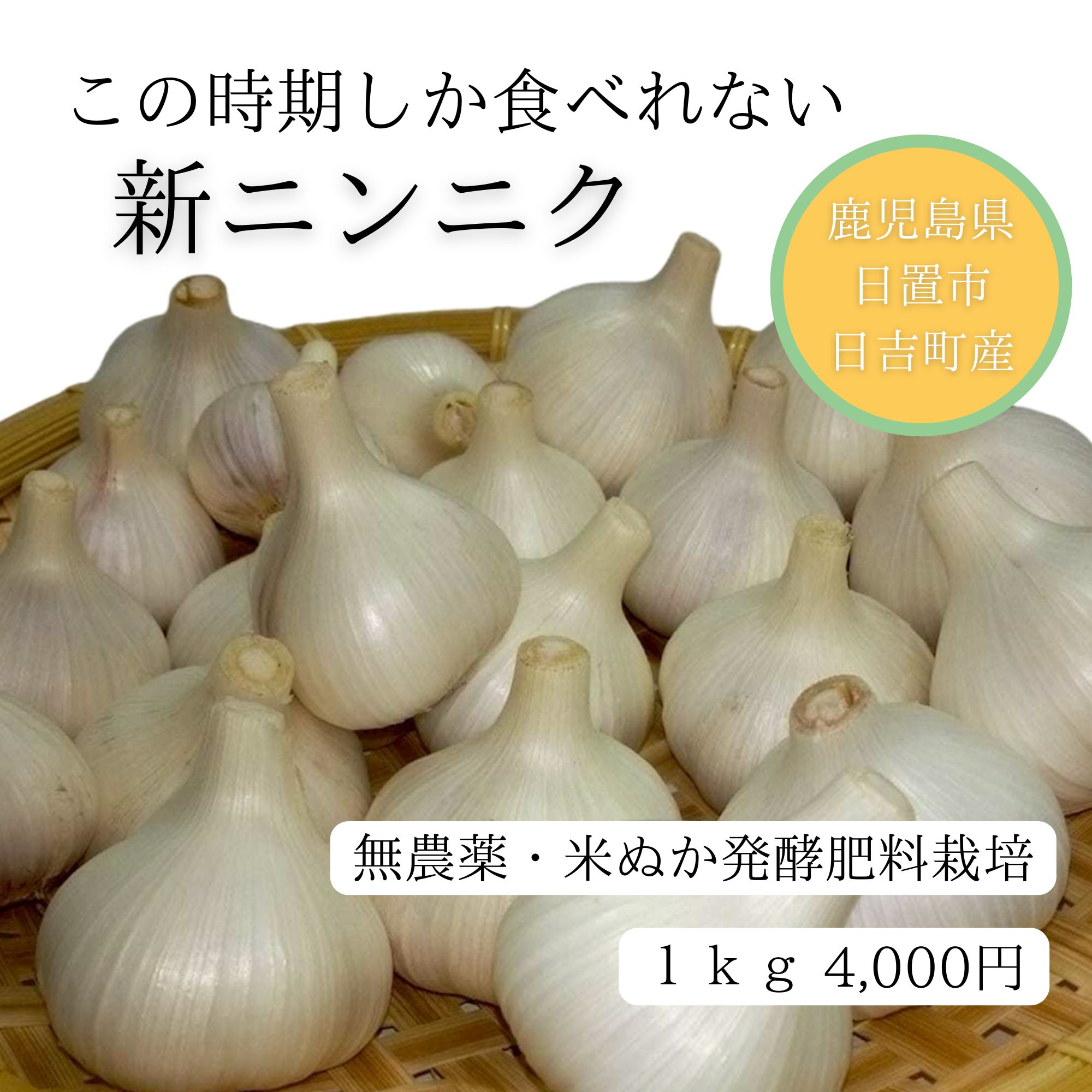岐阜県産 無農薬ジャンボにんにくバラ10キロ