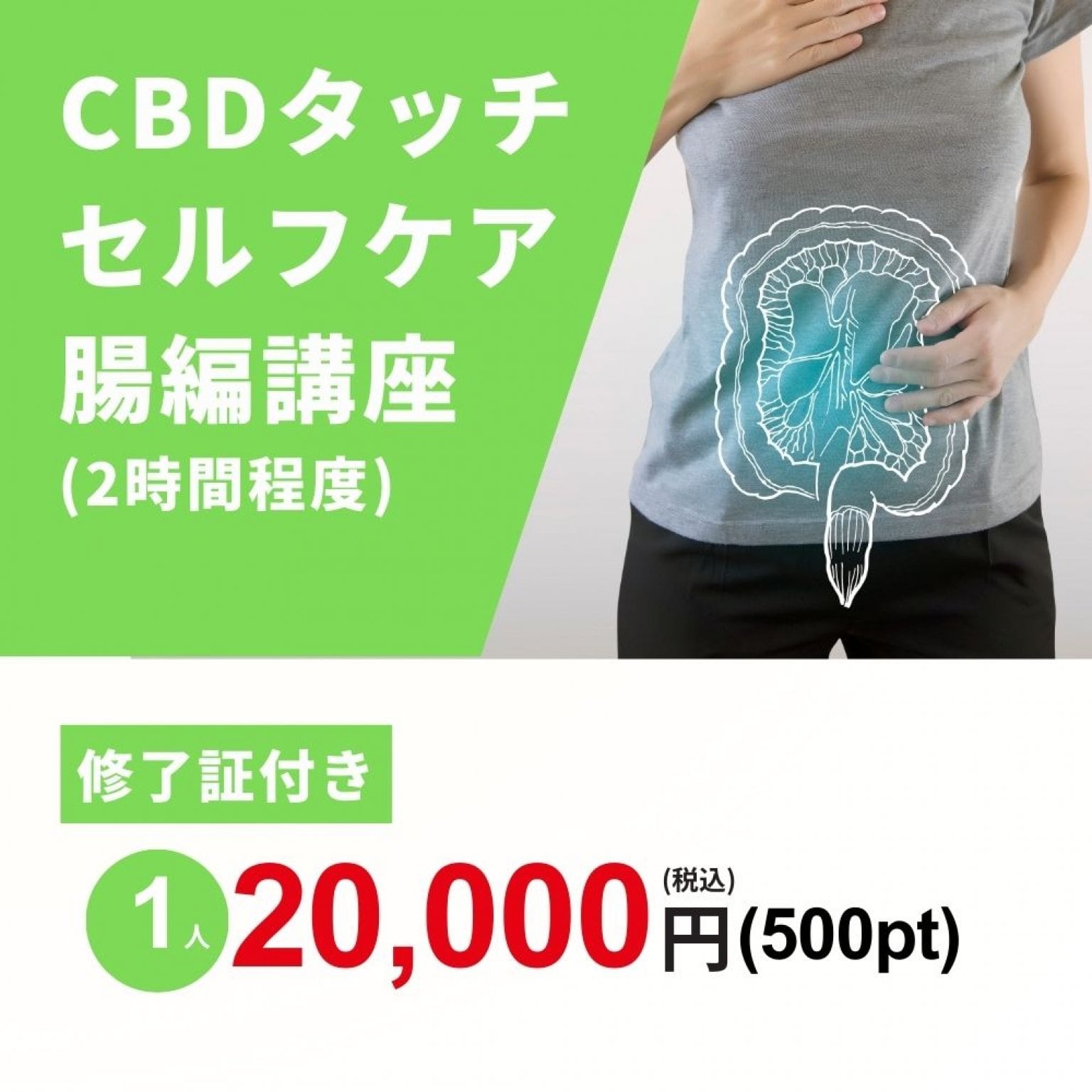【修了証付】CBDタッチセルフケア腸編講座｜太平庵