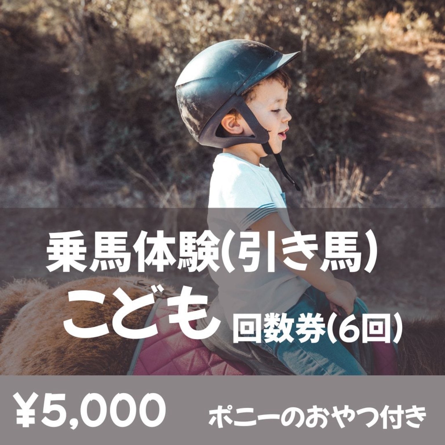 【回数券】乗馬体験_引き馬　子供チケット(中学生以下) ※1回1,000円分お得♪
