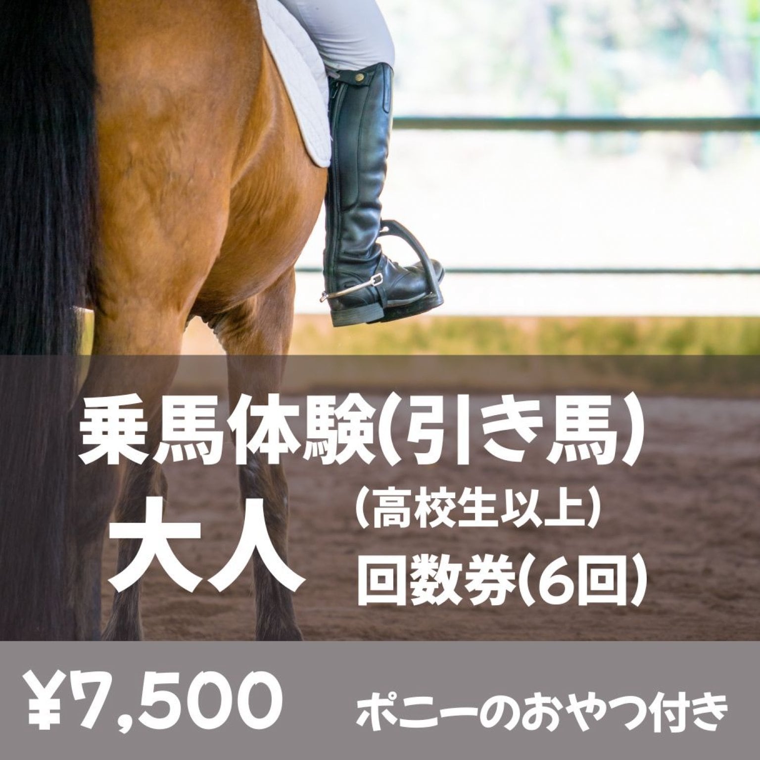 【回数券】乗馬体験_引き馬　大人チケット(高校生以上・70㎏以下) ※1回1,500円分お得♪
