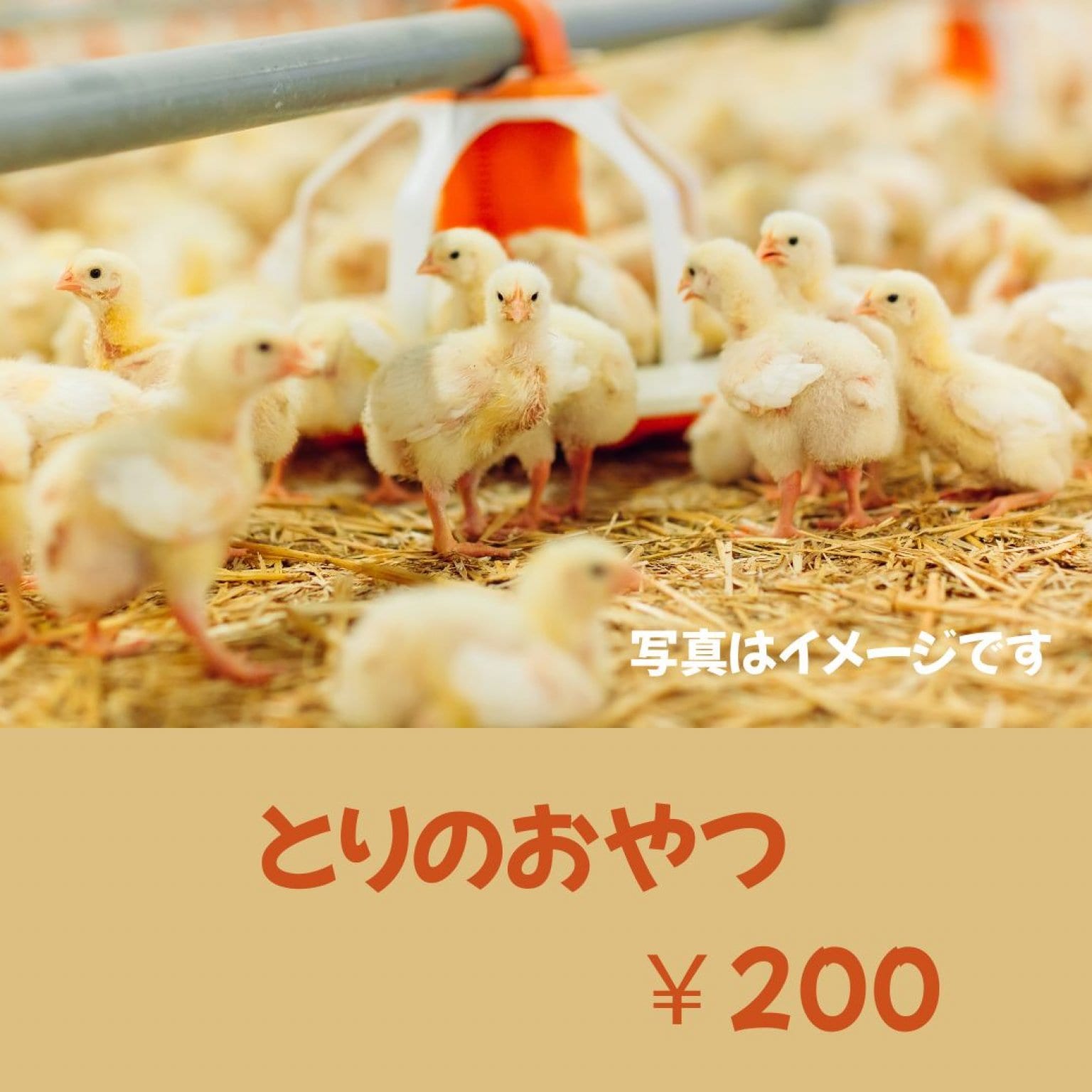 とりのおやつ