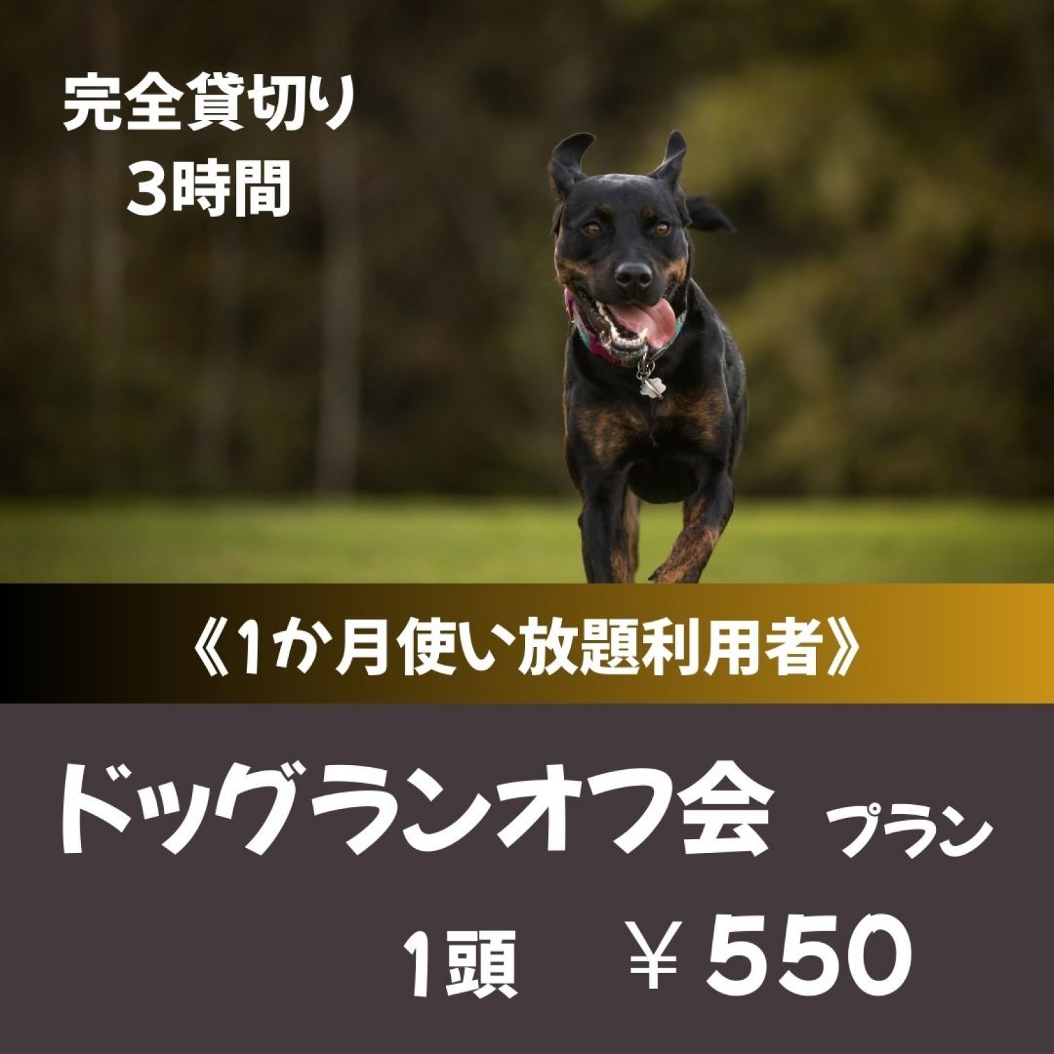 ドッグラン_オフ会プラン（1頭 ）※1か月使い放題利用者