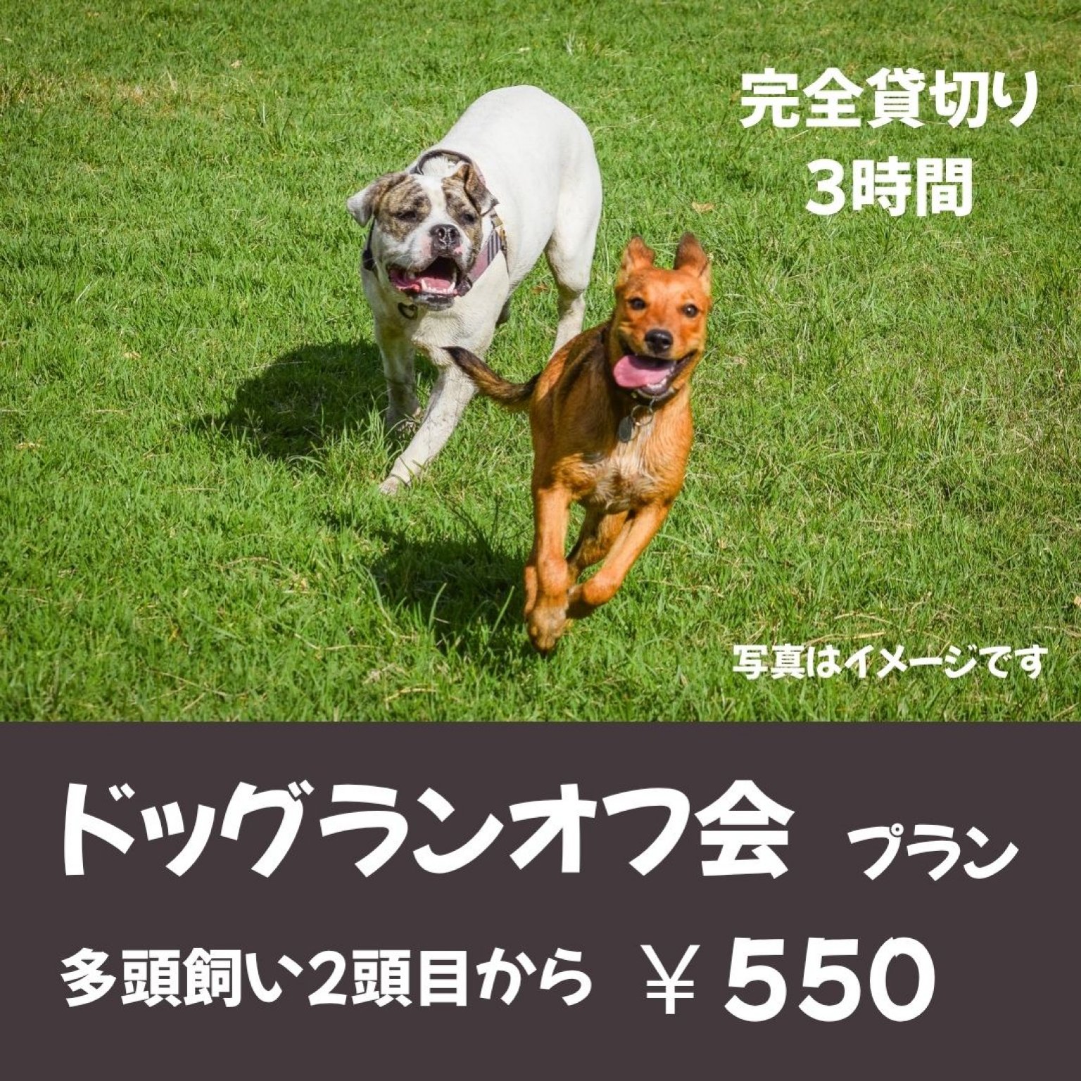 ドッグラン_オフ会プラン（多頭飼い2頭目から）※完全貸切り3時間