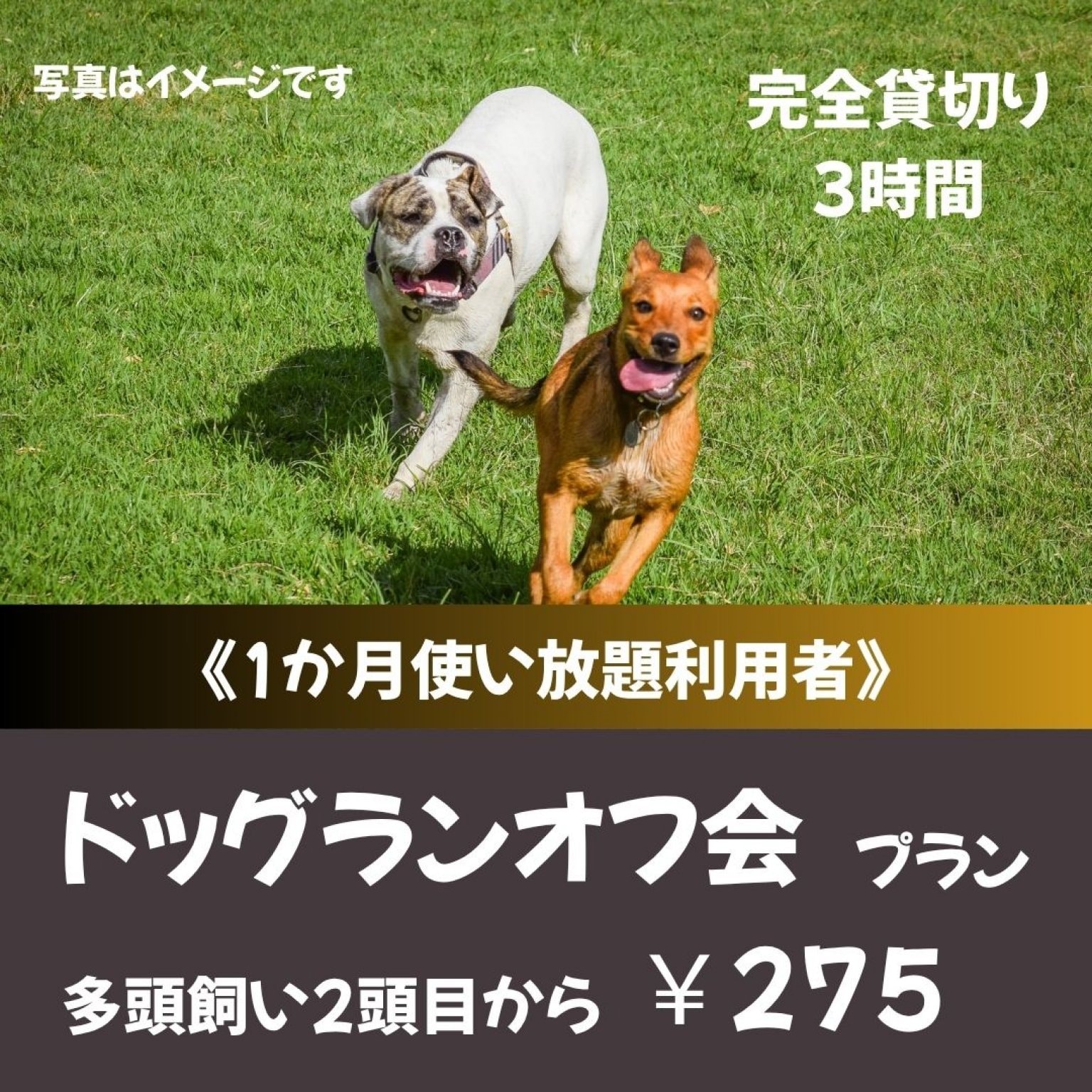ドッグラン_オフ会プラン（多頭飼い2頭目から）※1か月使い放題利用者