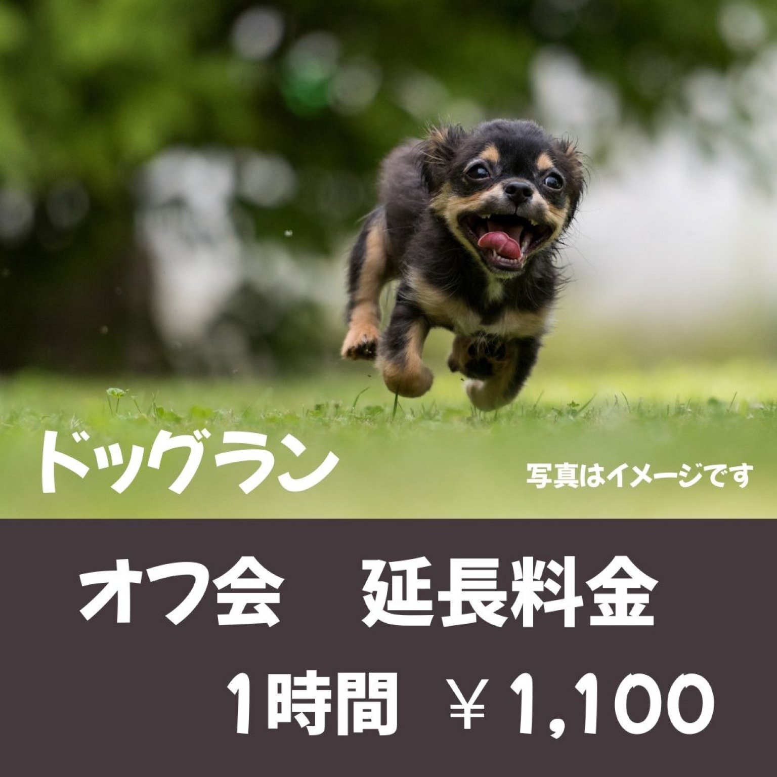 ドッグラン_オフ会プラン　延長料金（1時間）