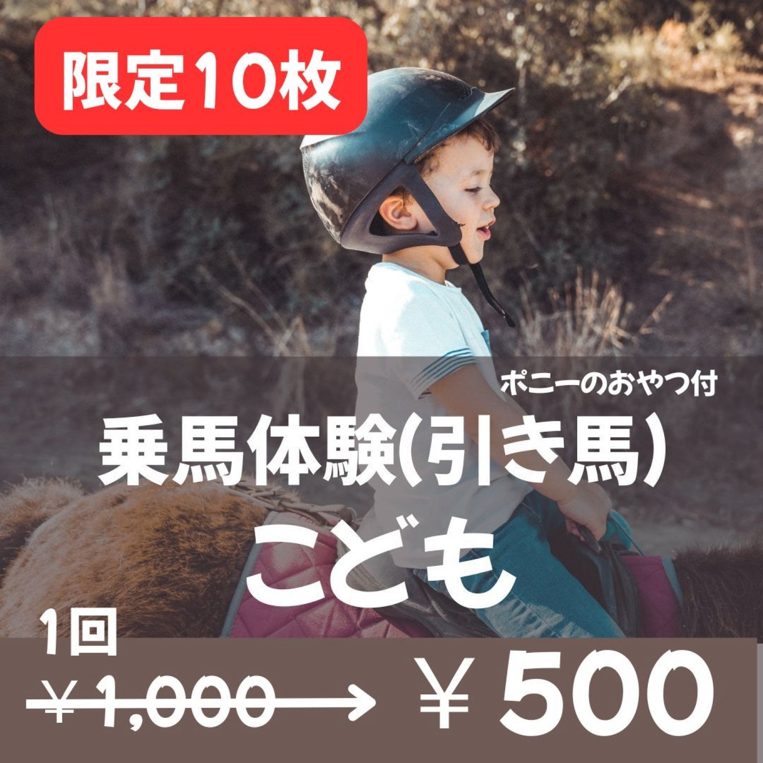 【限定10枚】乗馬体験_引き馬　こどもチケット（中学生以下）!!半額!!