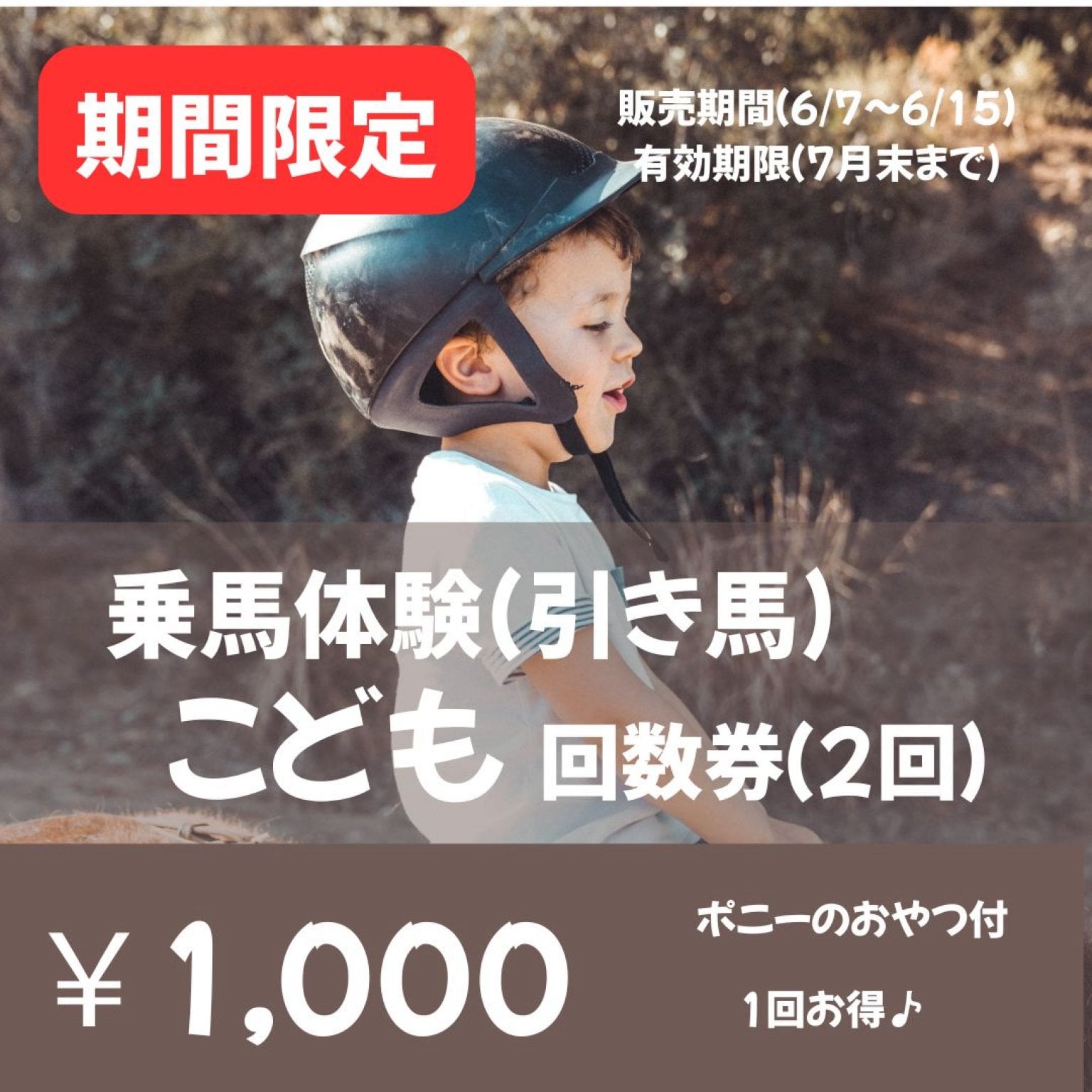 【期間限定！回数券】乗馬体験_引き馬　子供チケット(中学生以下) ※1回1,000円分お得♪