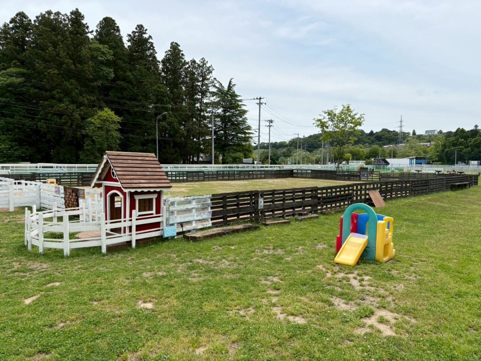 個人サポーター