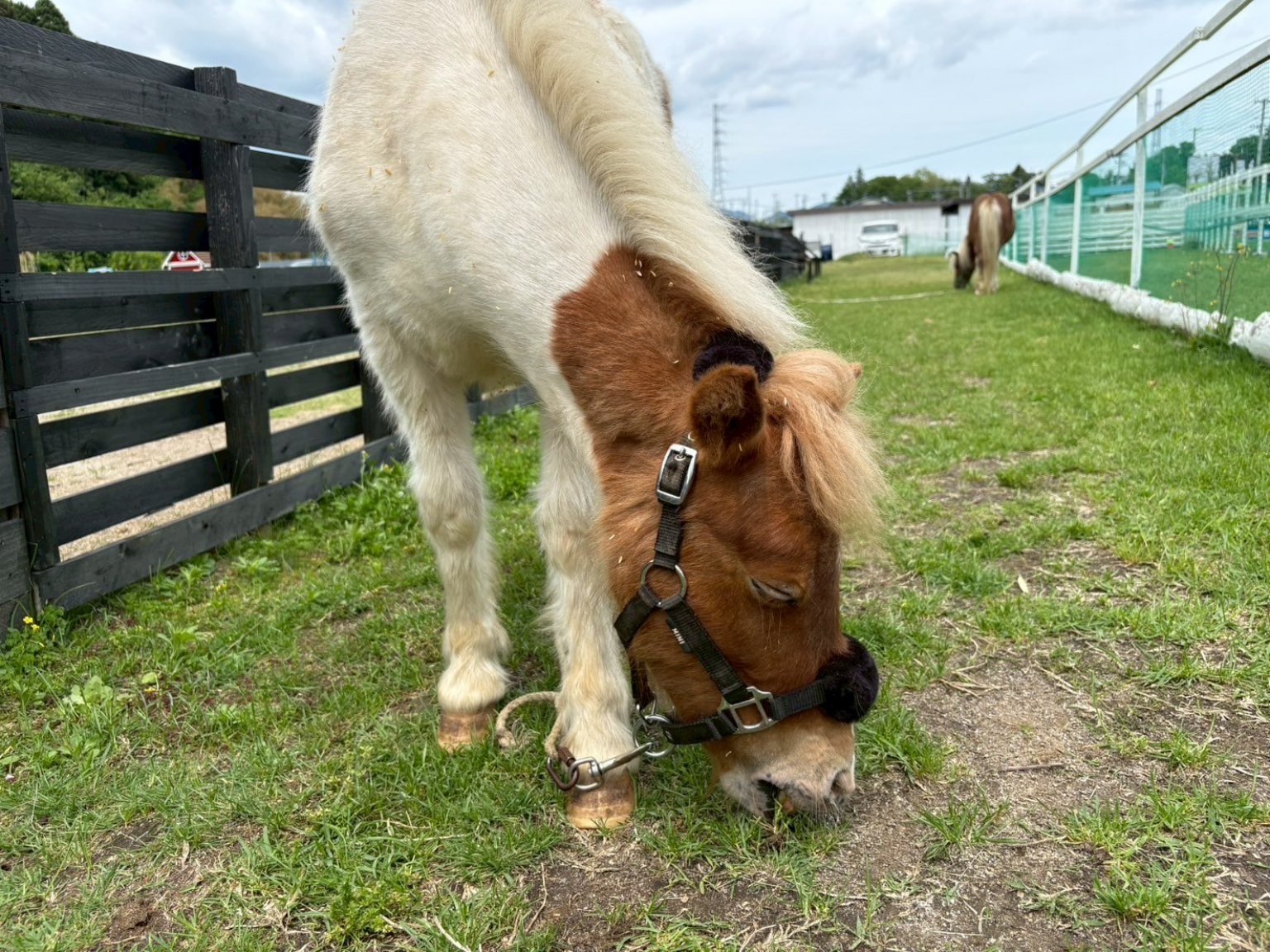 個人サポーター