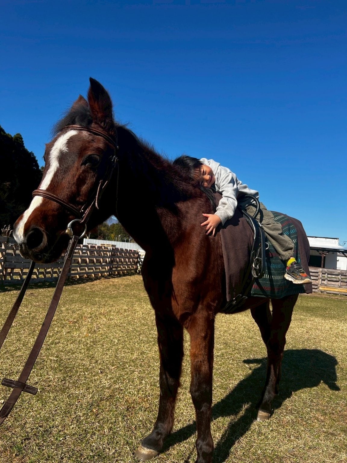 個人サポーター