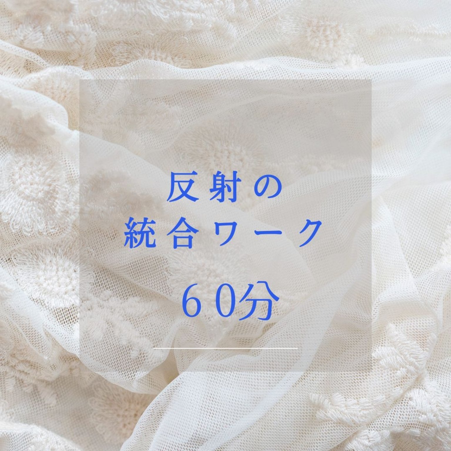 反射の統合ワーク　60分チケット