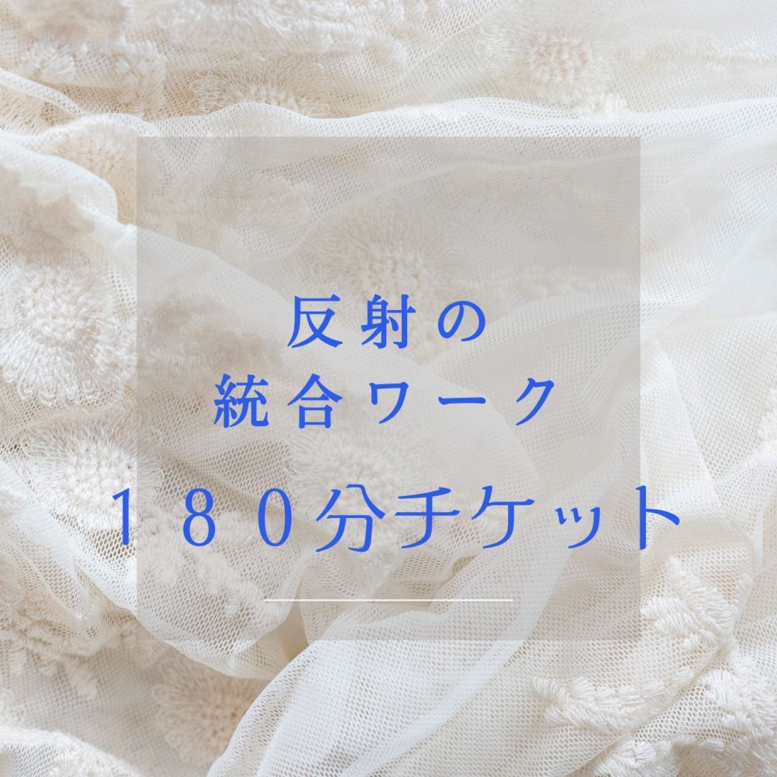 反射の統合ワーク　180分チケット（分割使用可　施術最低時間30分）
