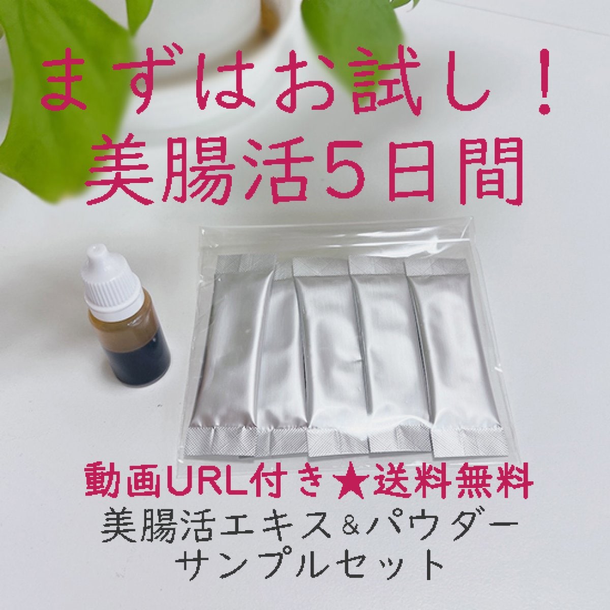【美腸活】お試し!★動画URL付き★クマザサエキス&パウダーサンプルセット|クマザサ(クロモリジンAHSS)