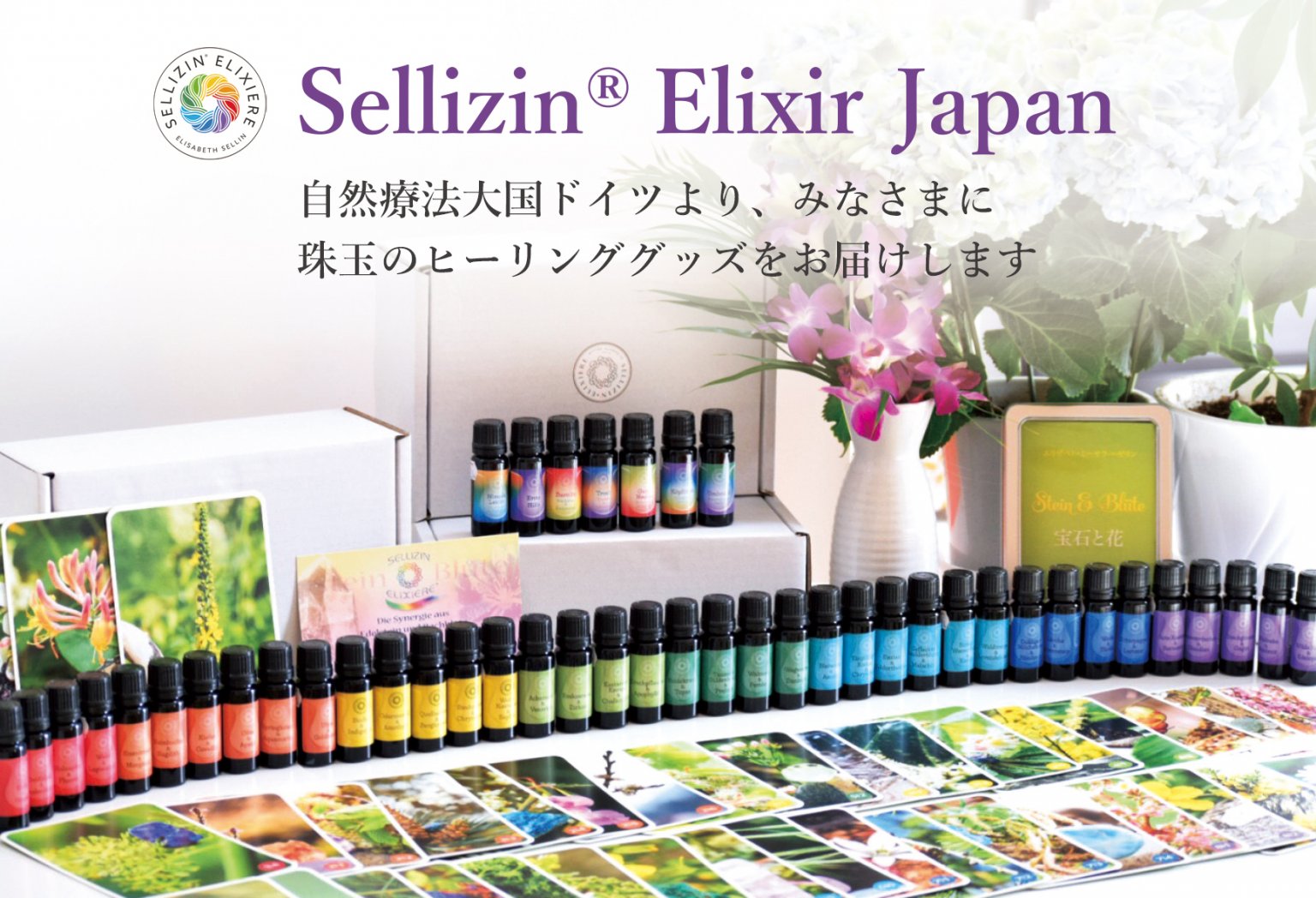 【資料請求】ゼリツィン®エリクサー｜宝石×花＝MUGENDAI　心に響くゼリツィン®ドイツ生まれの自然療法｜ゼリツィンがよくわかる無料パンフレット