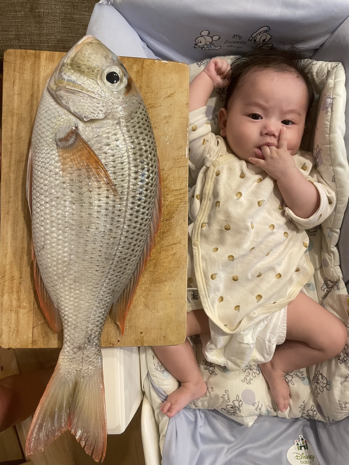 海上のごほうび時間 5時間