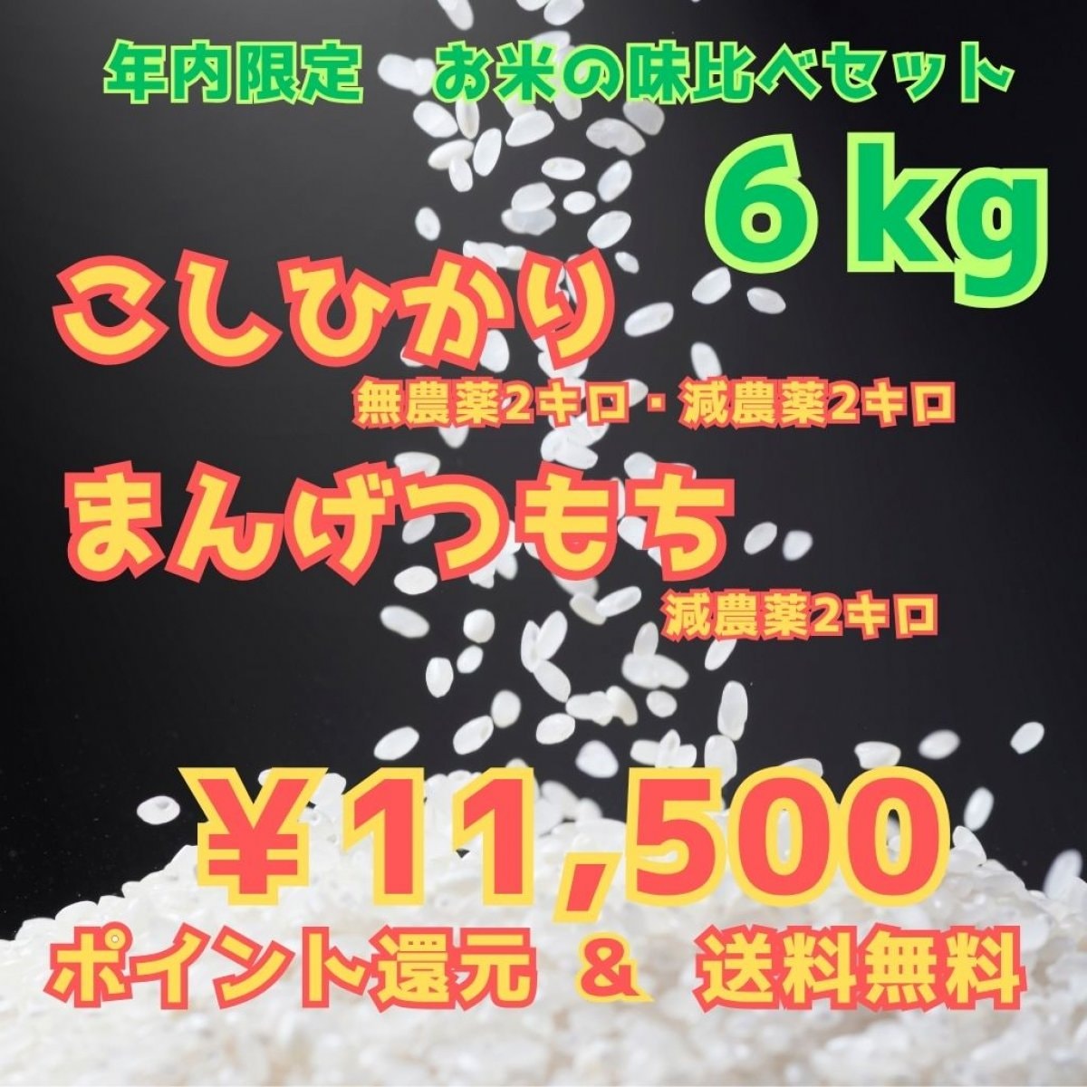 2025年限定　新米　まんげつもち米・こしひかり（無農薬と減農薬）セット　高ポイント還元・送料無料