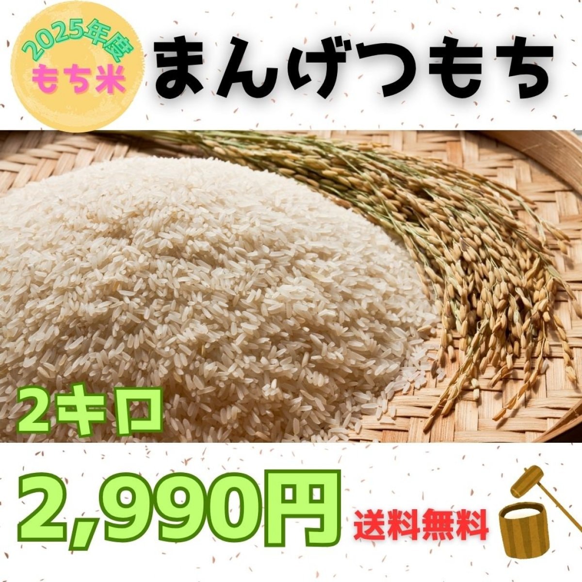 2025年　まんげつもち米