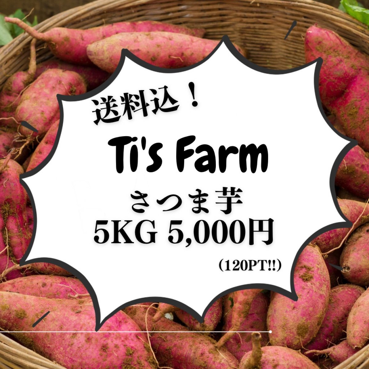 【フードレスキュー】Ti'sFarmのさつま芋5kg/送料込み（沖縄・北海道・離島を除く）