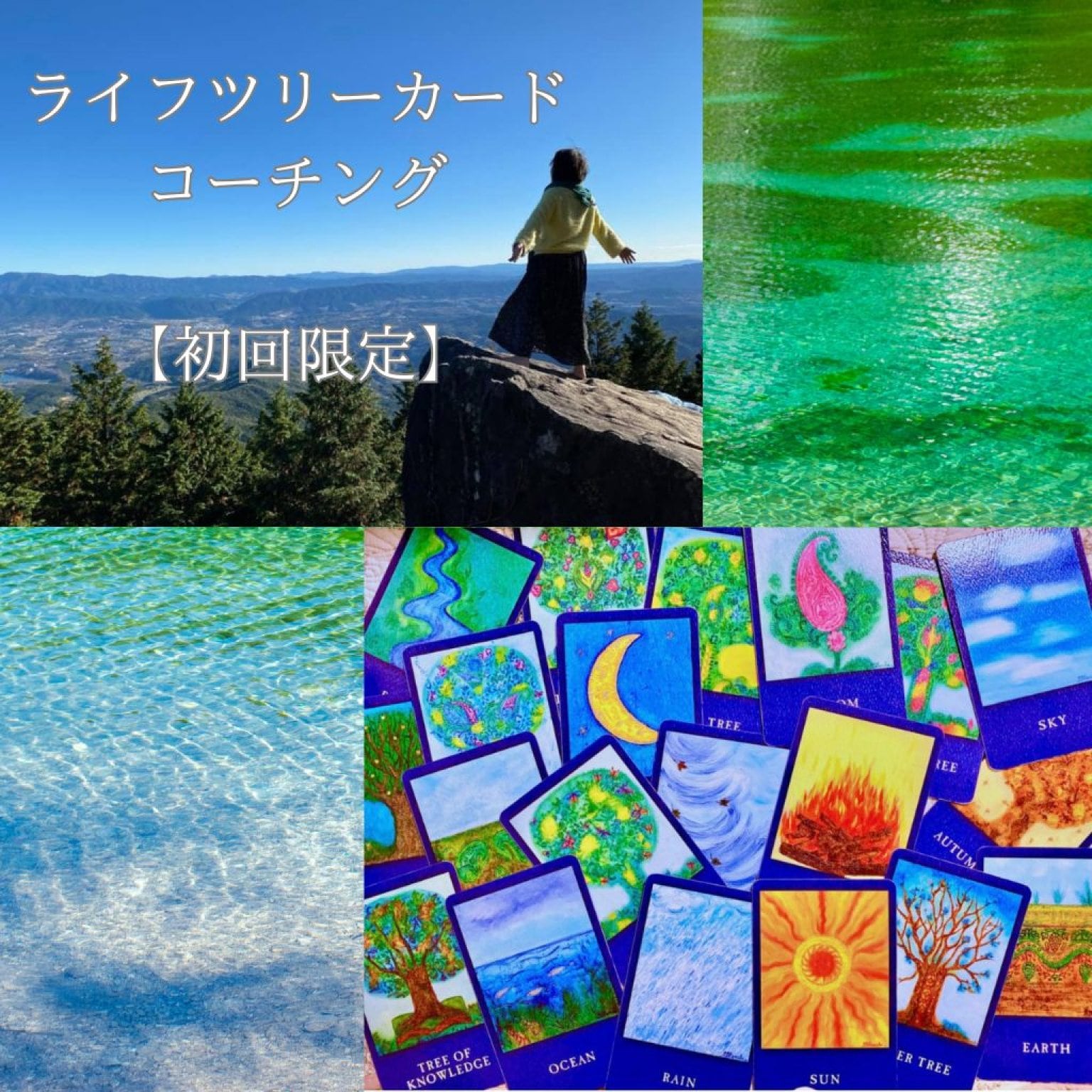 【オンライン】ライフツリーカードコーチングセッション