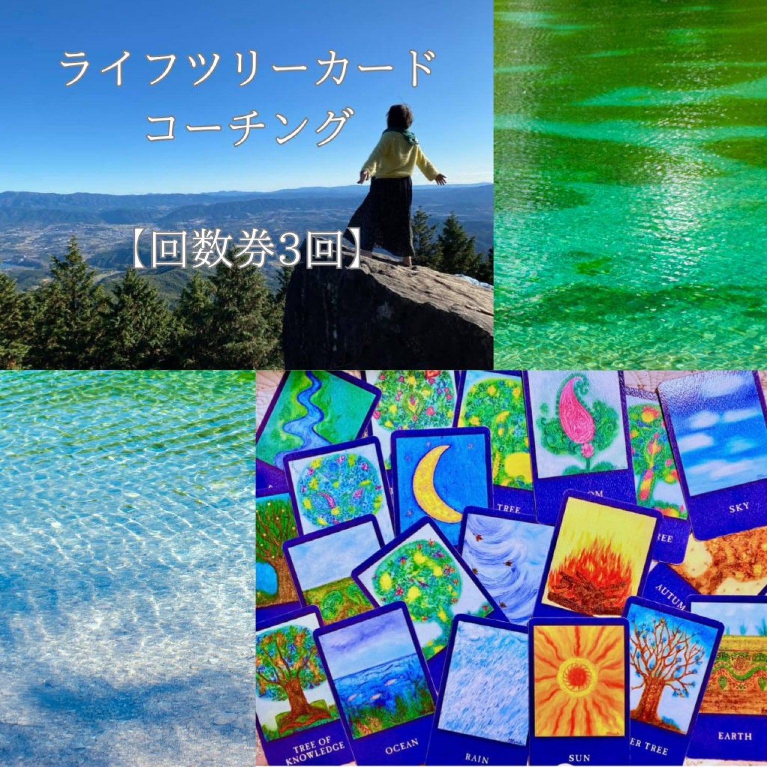 回数券でお得【オンライン】ライフツリーカードコーチングセッション