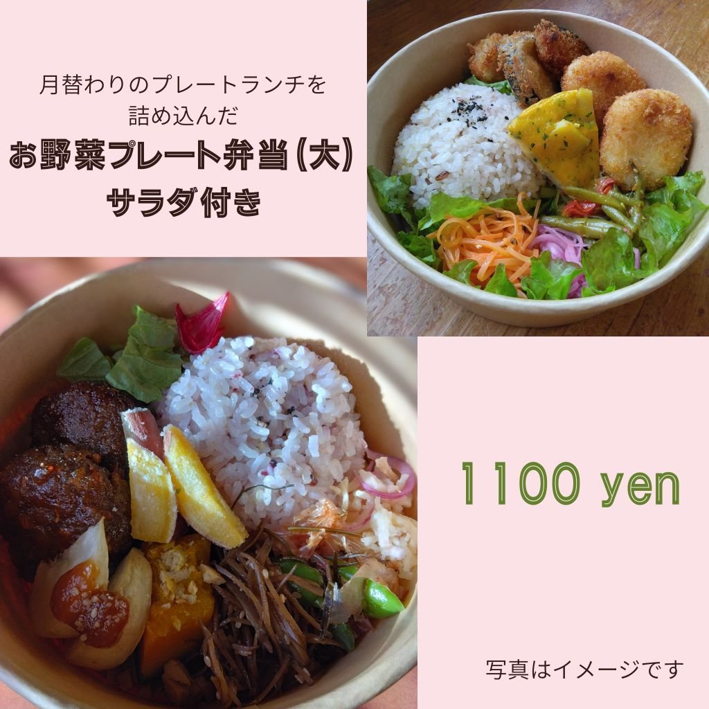 お野菜プレート弁当(大)
