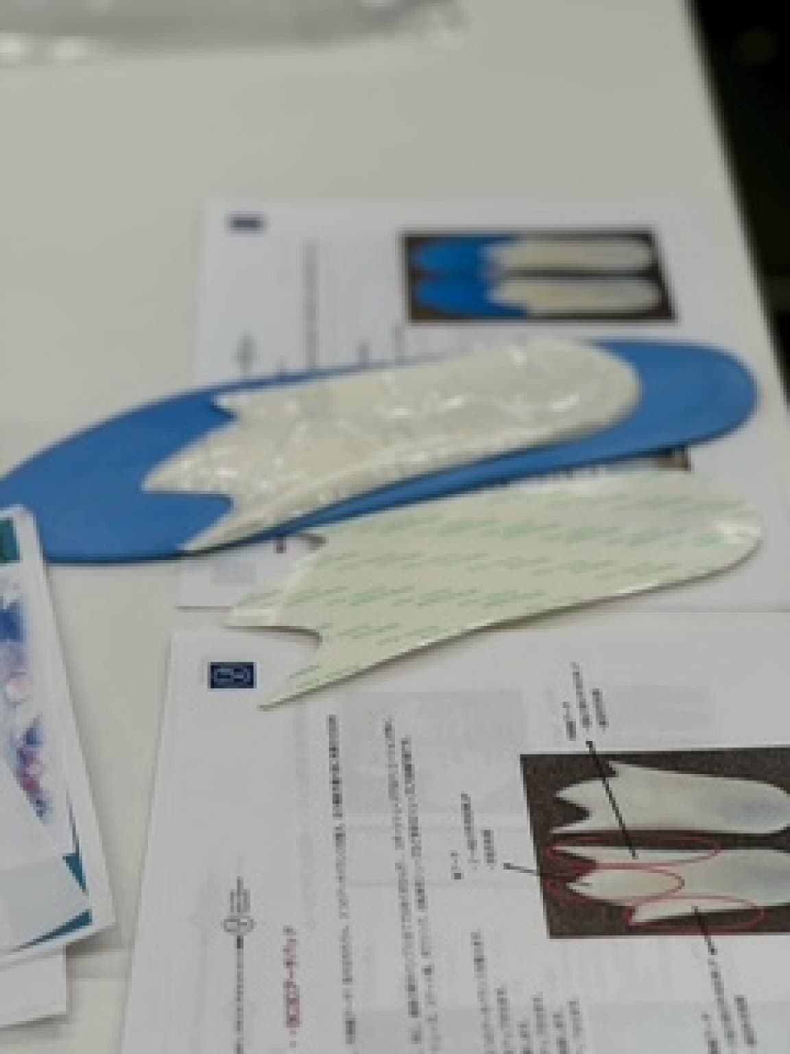 再受講分 1月24日(土)～25日(日)開催FBアジャスター養成ワークショップ参加Webチケット