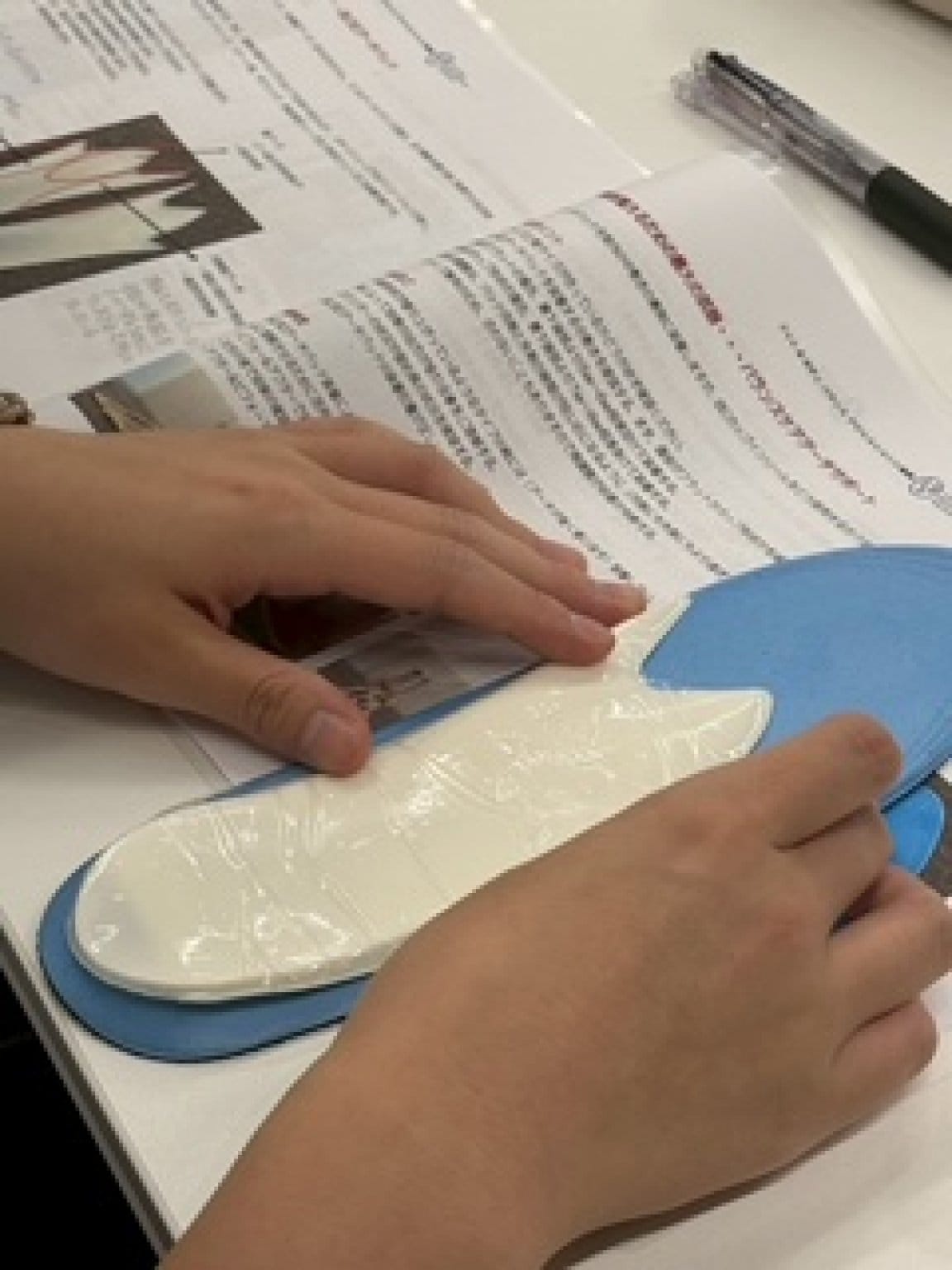 2026年1月24日(土)～25(日)日開催FBアジャスター養成ワークショップ参加Webチケット