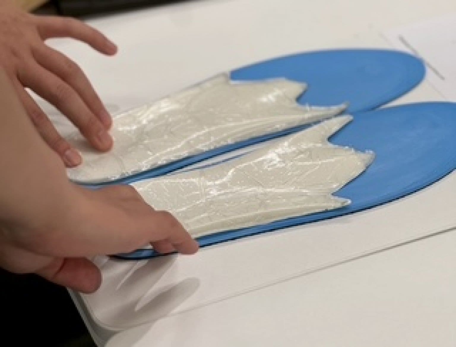 紹介者同行受講 1月24日(土)～25日(日)開催分FBアジャスター養成ワークショップ参加Webチケット