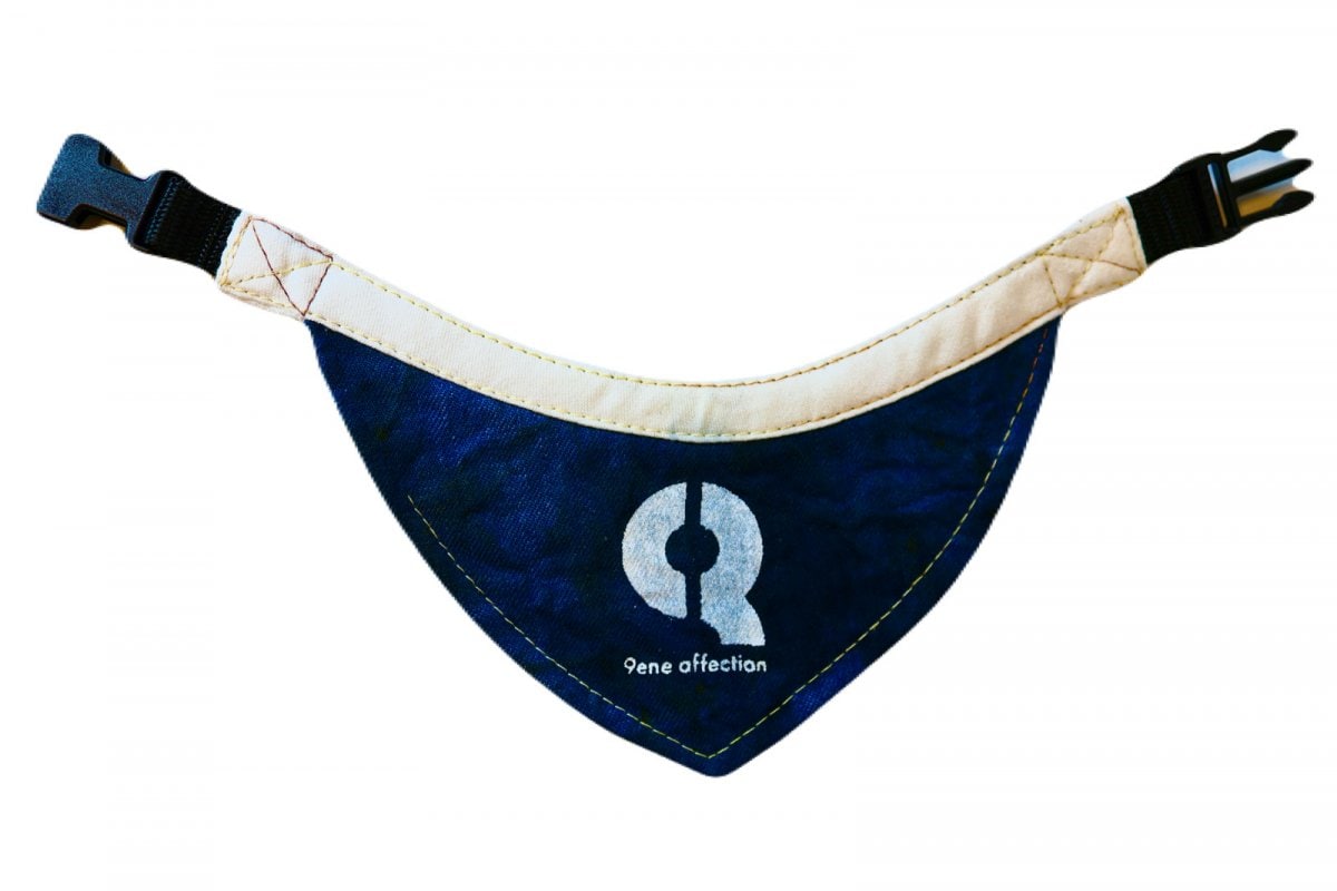 染色ドッグウェア・アイテム「9ene affection(ジーンアフェクション