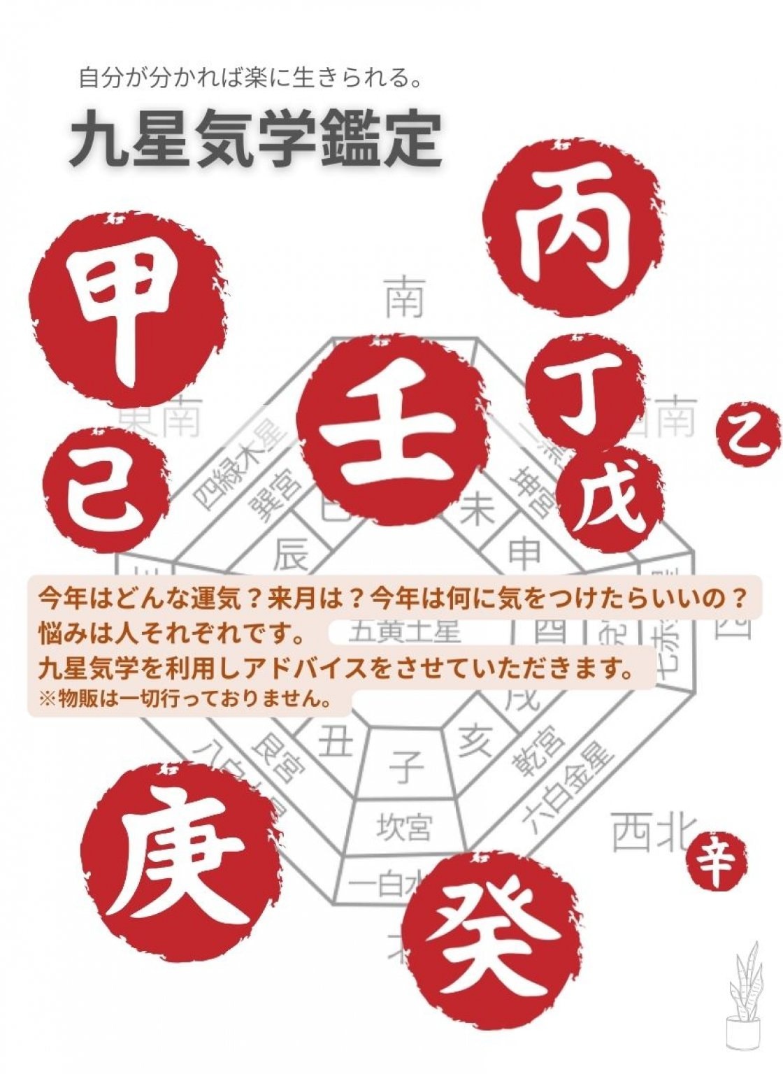 九星氣学鑑定【約45分】