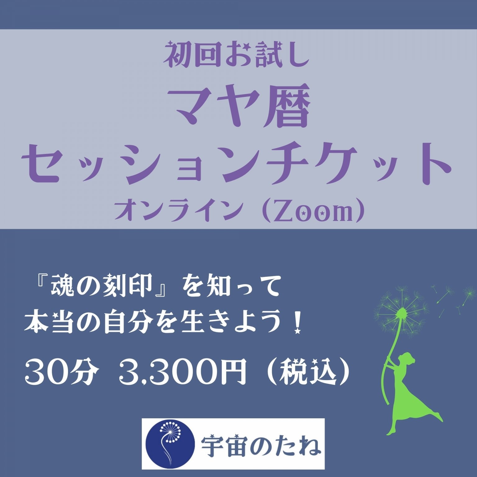 【初回お試し（30分）】マヤ暦セッションチケット　オンライン（Zoom）　【宇宙のたね】〜マヤ暦・コーチング・ライフサポート〜　愛媛県松山市