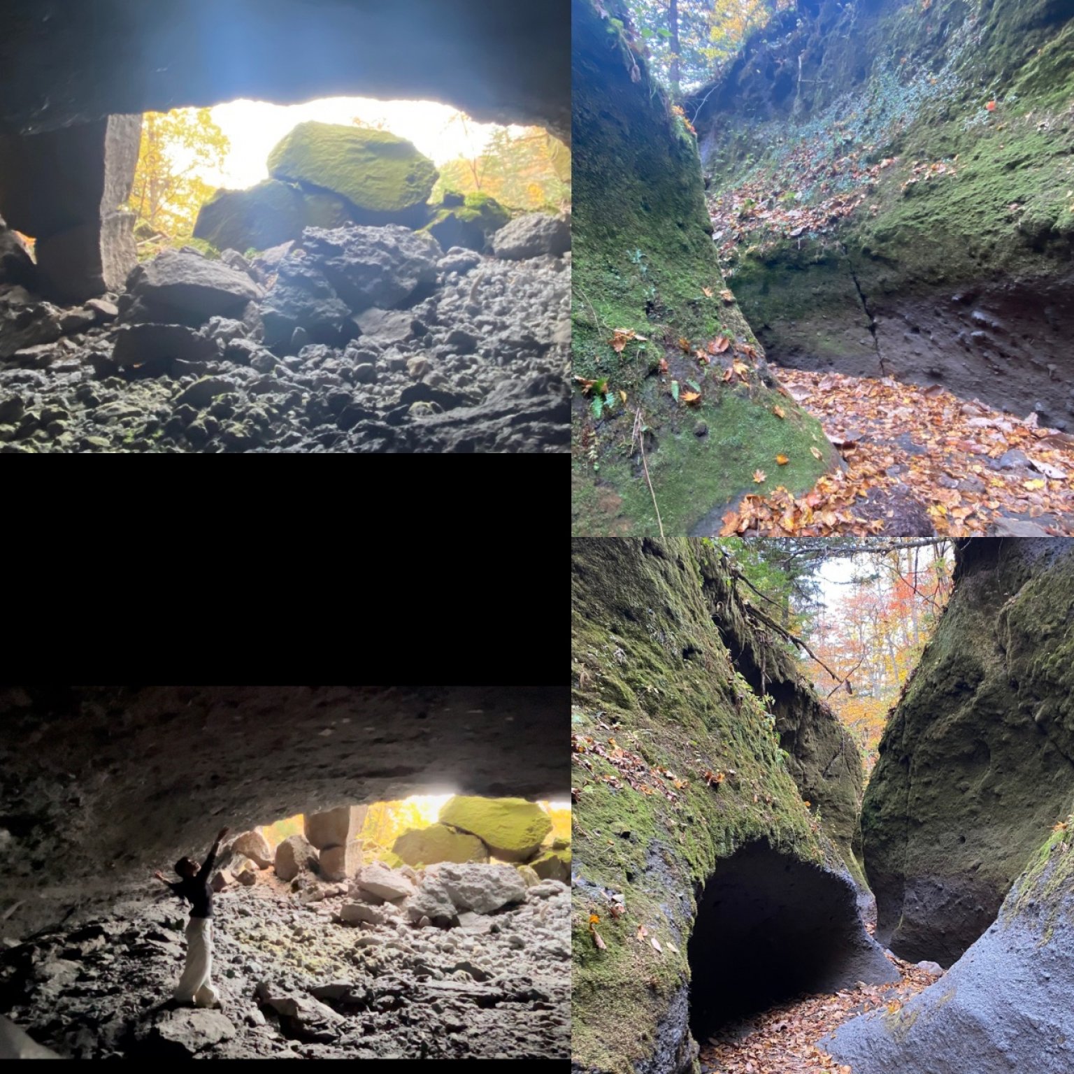 苔の回廊・歌と舞と冒険retreat