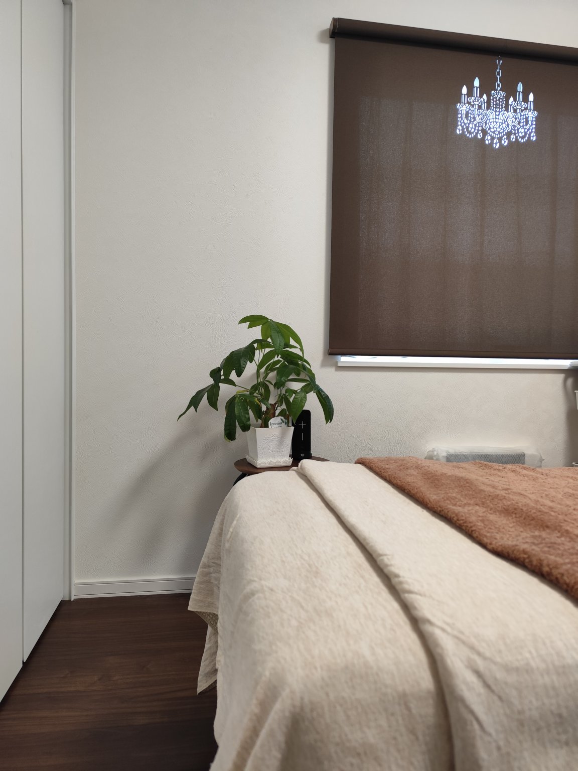 脳と身体のdetox