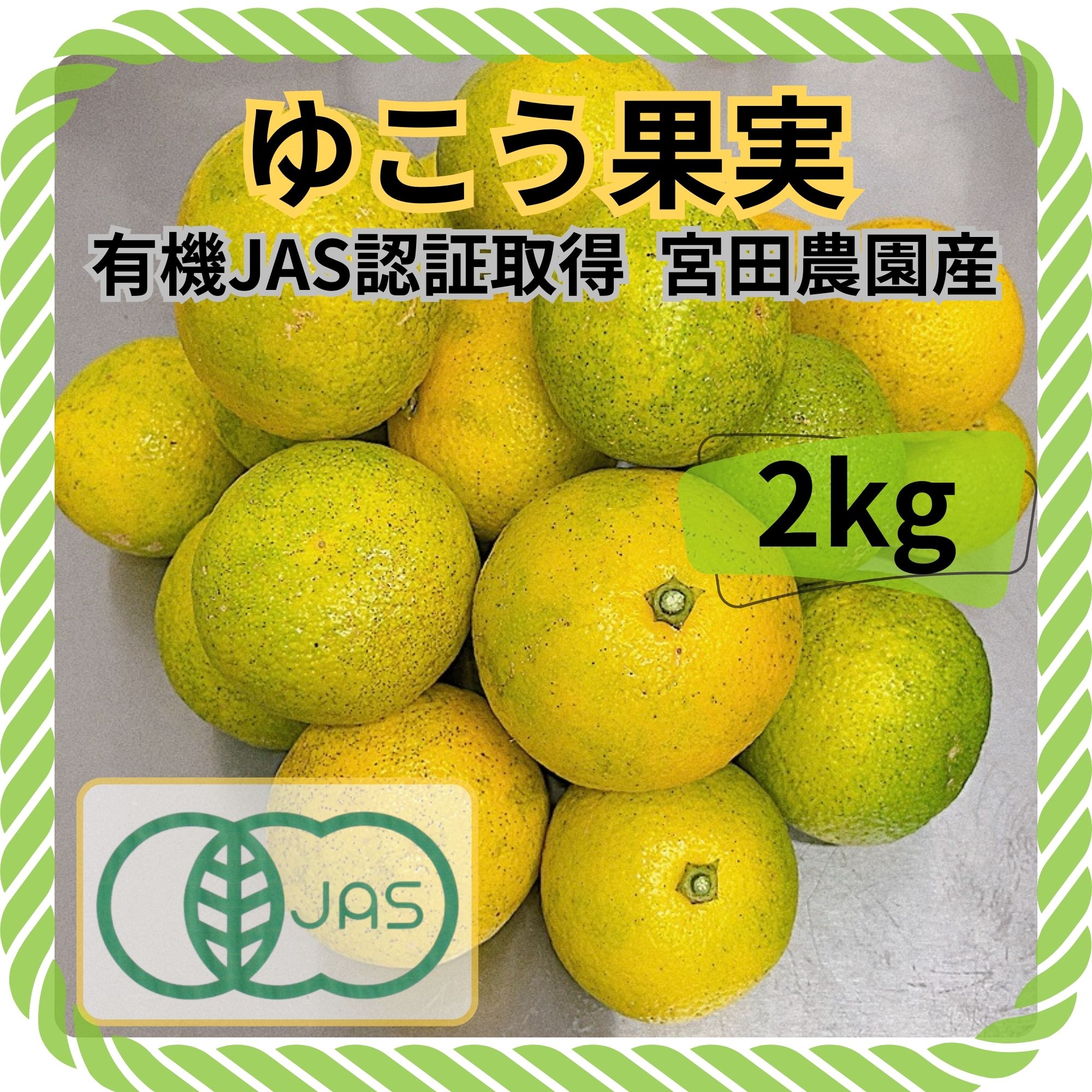 予約販売 ゆこう果実 有機JAS 2kg 黄緑