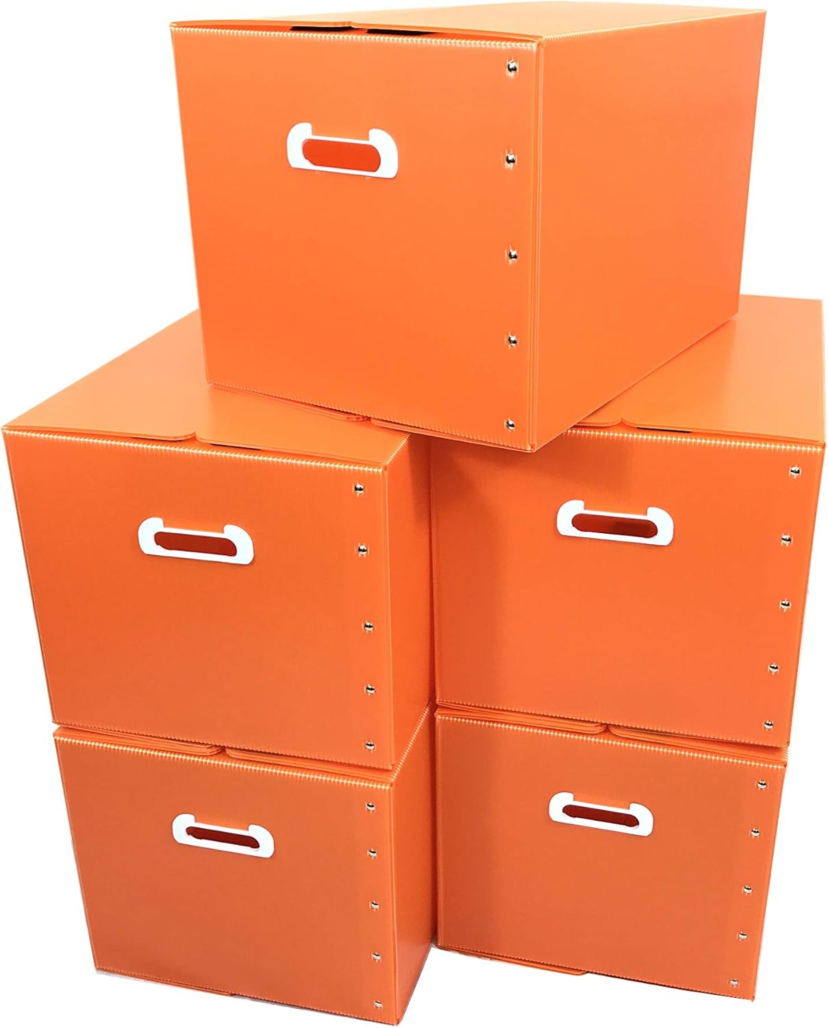 タチバナ産業 折りたたみ式プラダン製収納BOX 5枚セット (オレンジ) 53