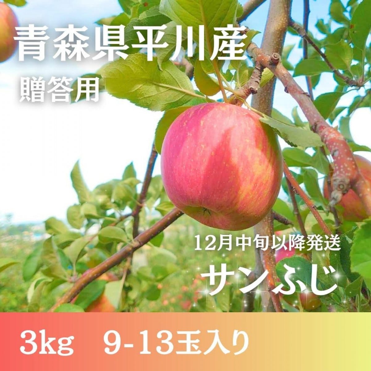 【贈答用】サンふじ3kg（9〜13個）【12月中旬以降発送】