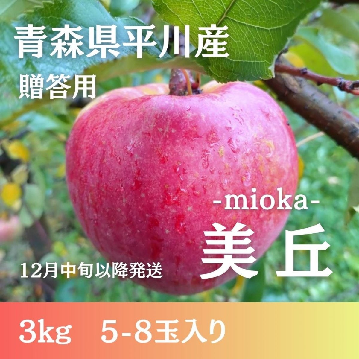 【贈答用】美丘3kg（5〜8個）【12月中旬以降発送】