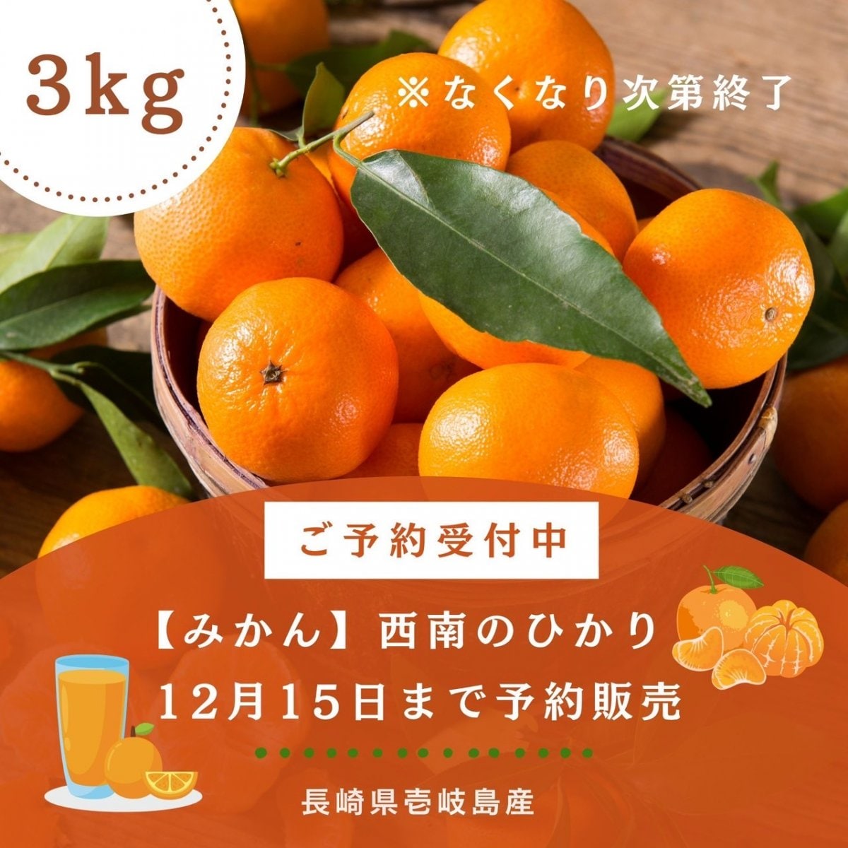 【3kg】壱岐島産みかん「西南のひかり」島の太陽と潮風が育てた甘く華やかな味｜ポイント3倍｜うえむら屋