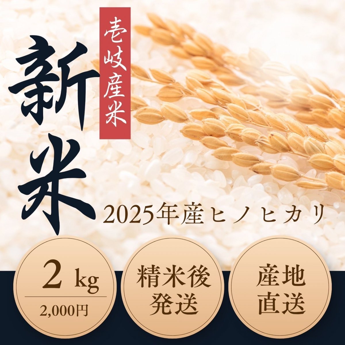 【ヒノヒカリ 2㎏ 白米】壱岐島産 2025年新米｜ほんのり甘く力強い味わい｜冷めてもおいしい｜ポイント3倍｜うえむら屋