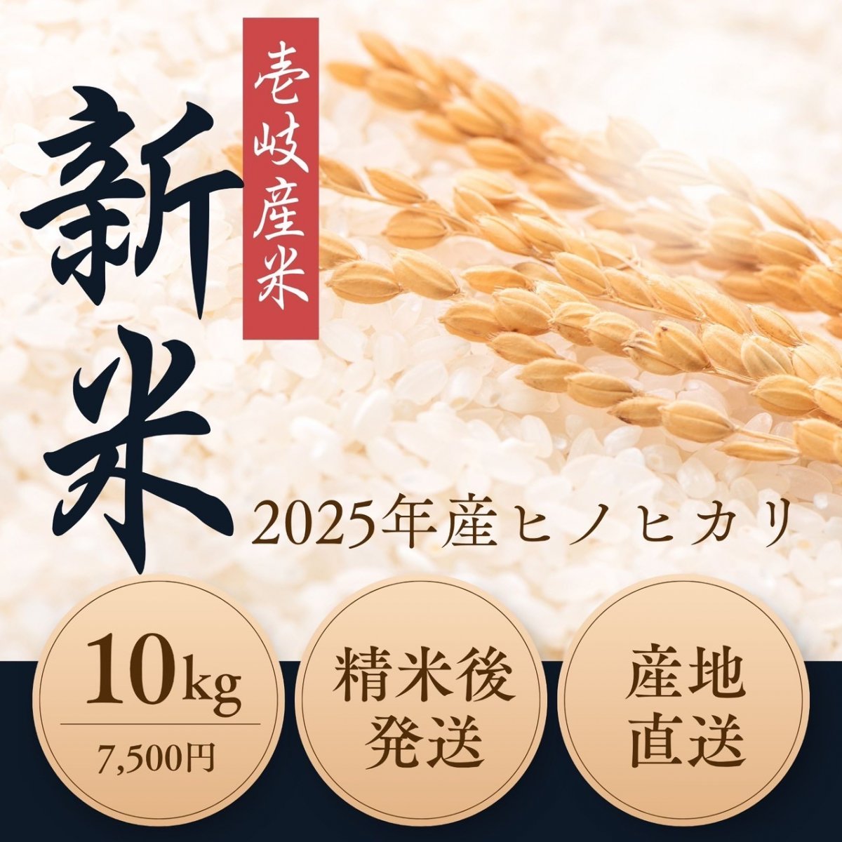【ヒノヒカリ 10㎏ 白米】壱岐島産 2025年新米｜ほんのり甘く力強い味わい｜冷めてもおいしい｜ポイント3倍｜うえむら屋
