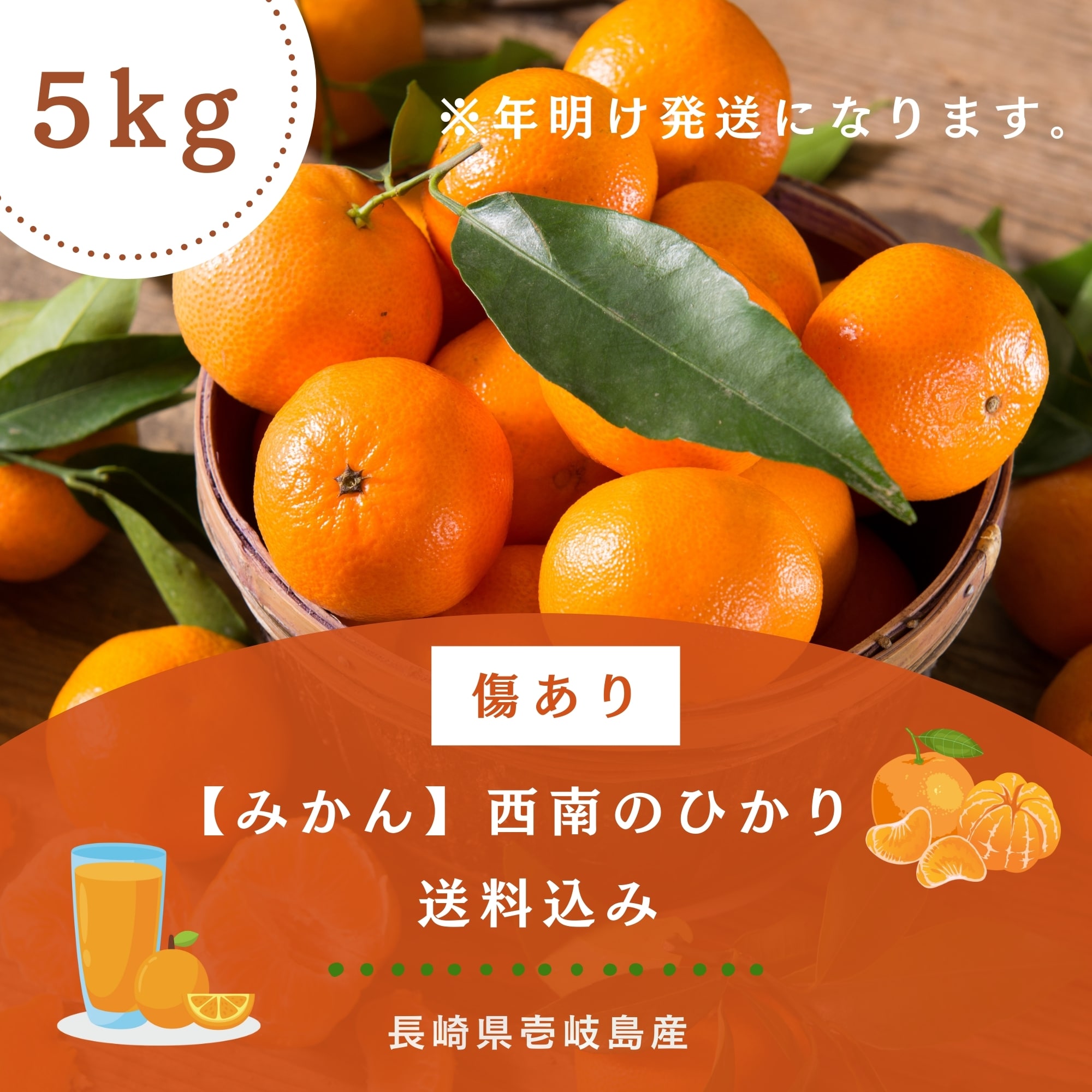 送料込み 傷あり【5kg】壱岐島産みかん「西南のひかり」島の太陽と潮風