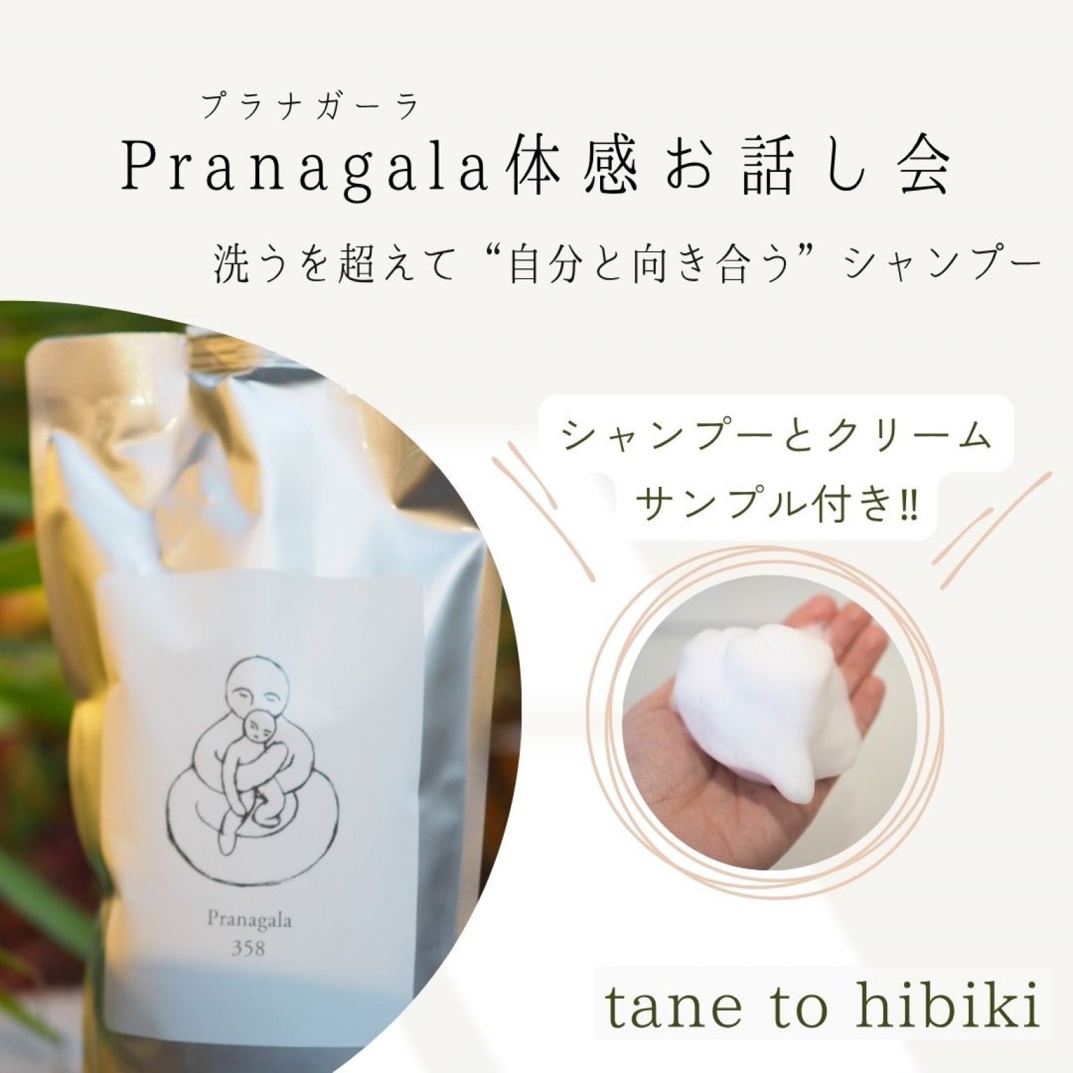 【アーカイブ視聴】11/30開催・Pranagala体験お話会|自然派美容室 Tane to Hibiki